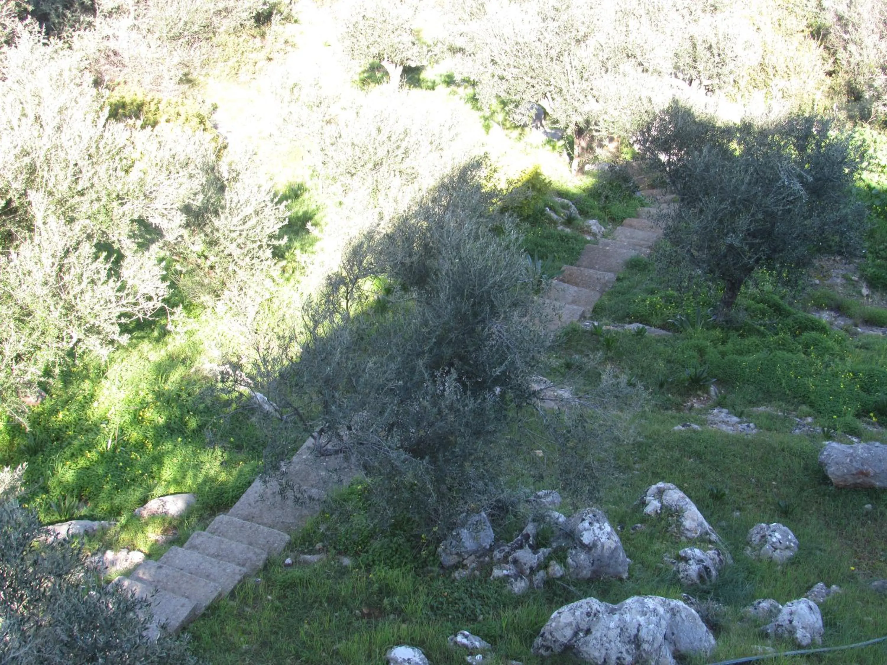 Day in Kallisto studios