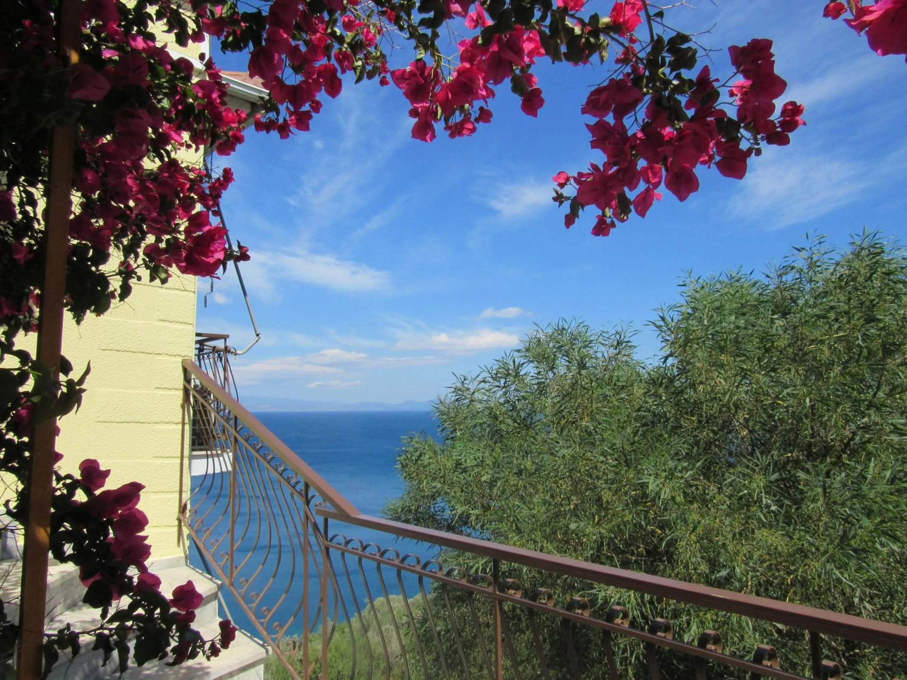 Property building in Kallisto studios