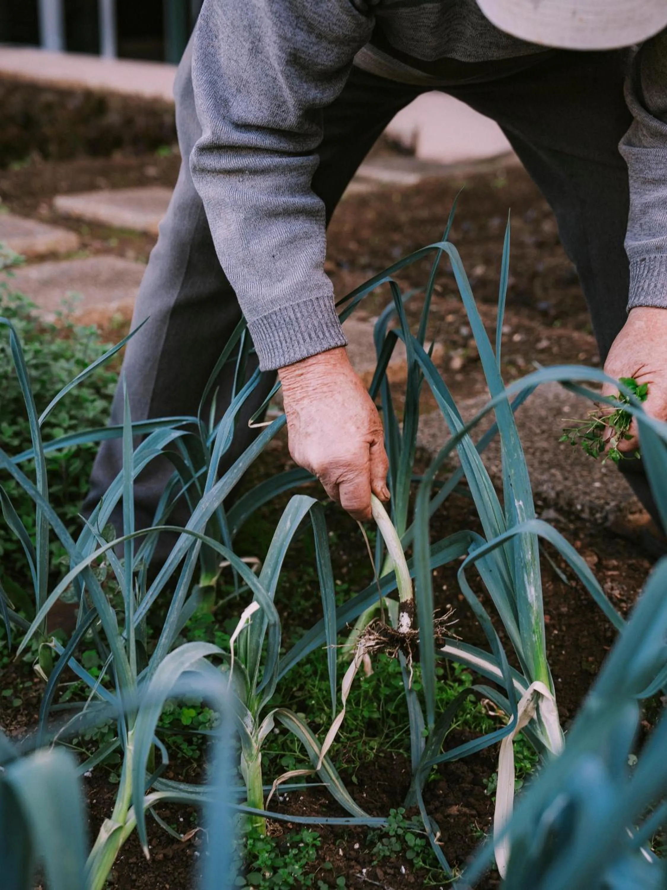 Garden in The Views Baia - Adults Only