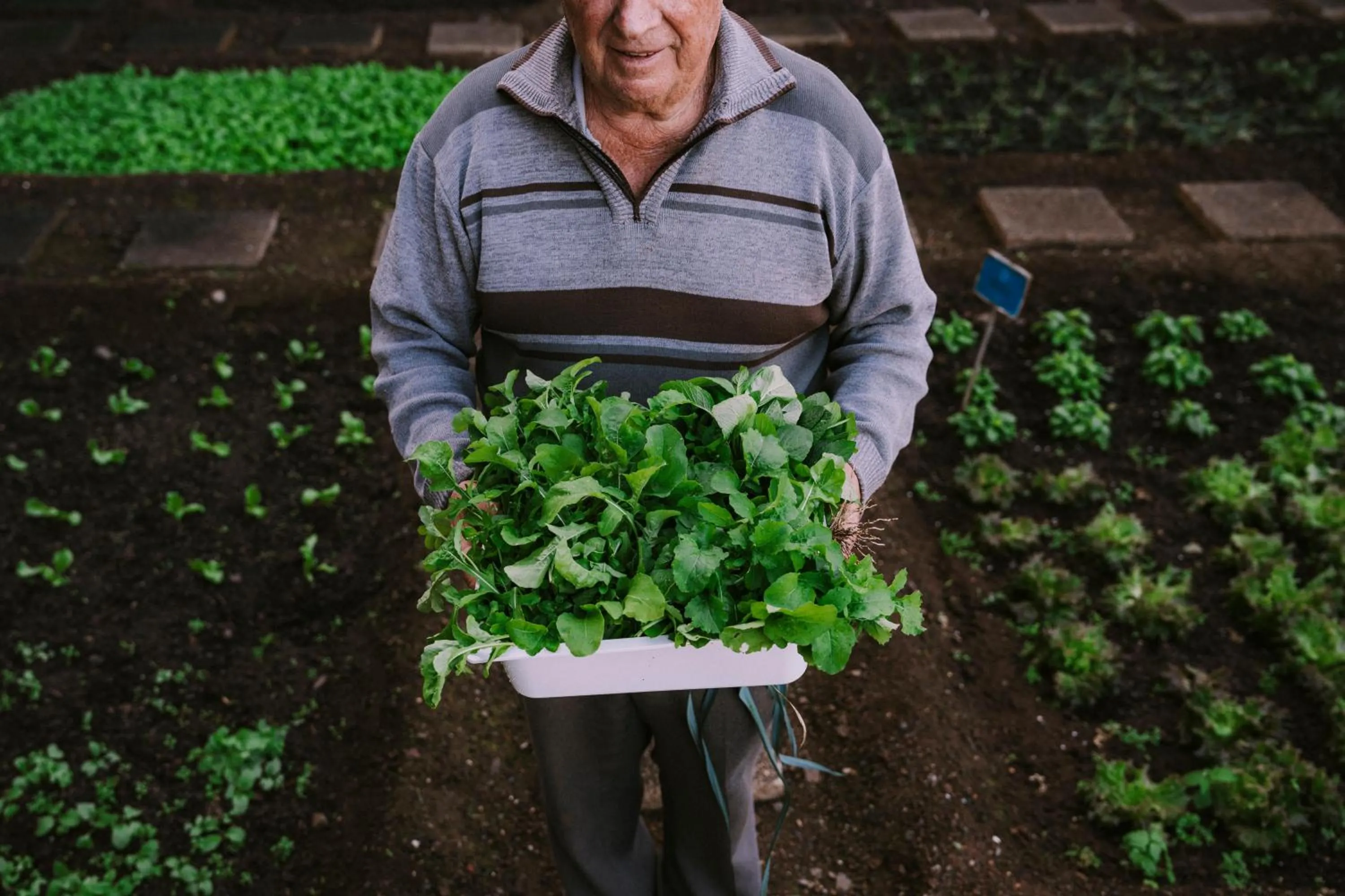 Garden in The Views Baia - Adults Only