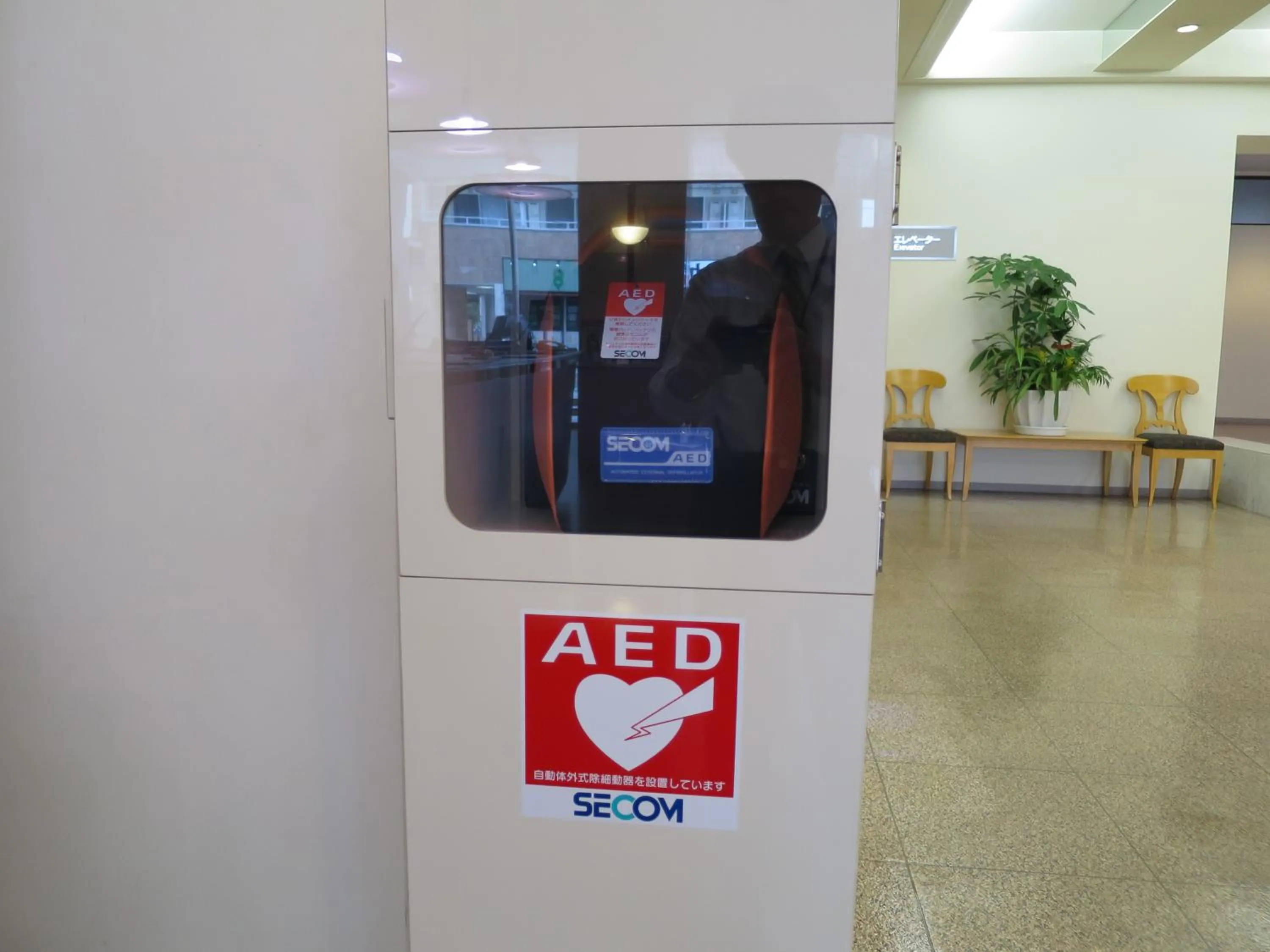 Area and facilities in Sun Palace Hotel