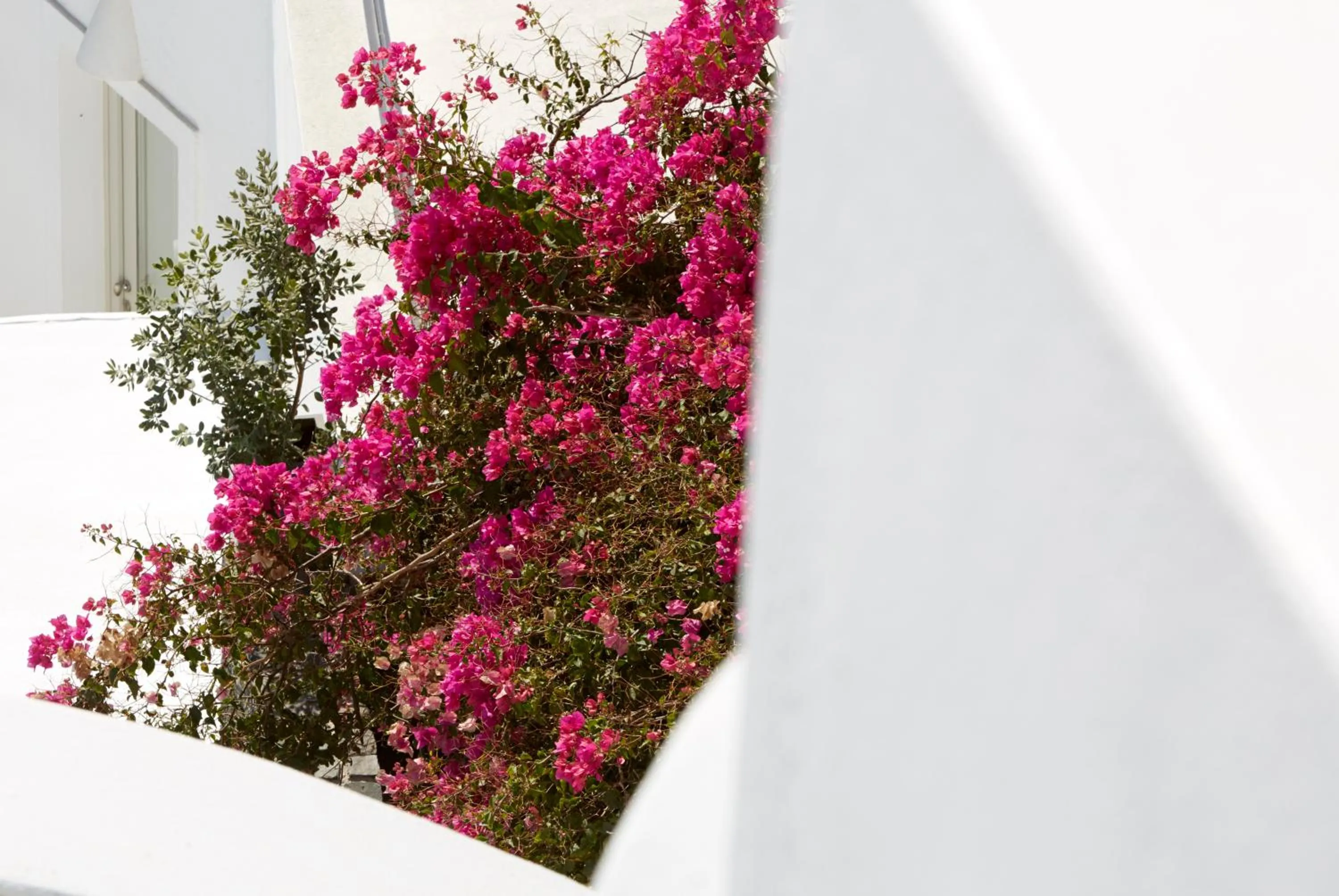 Property building in Atrina Canava 1894