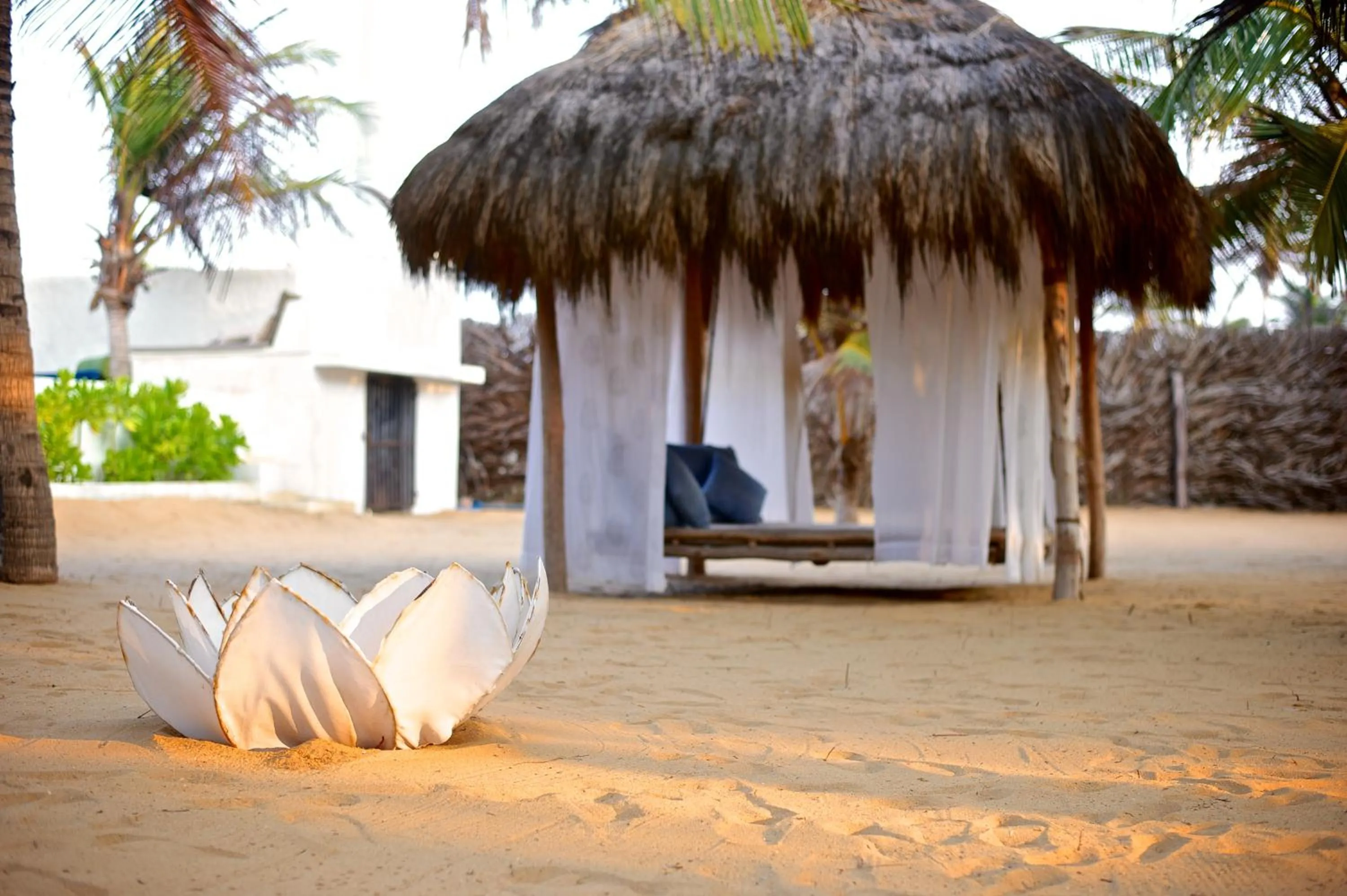 Other in Dolphin Beach Resort