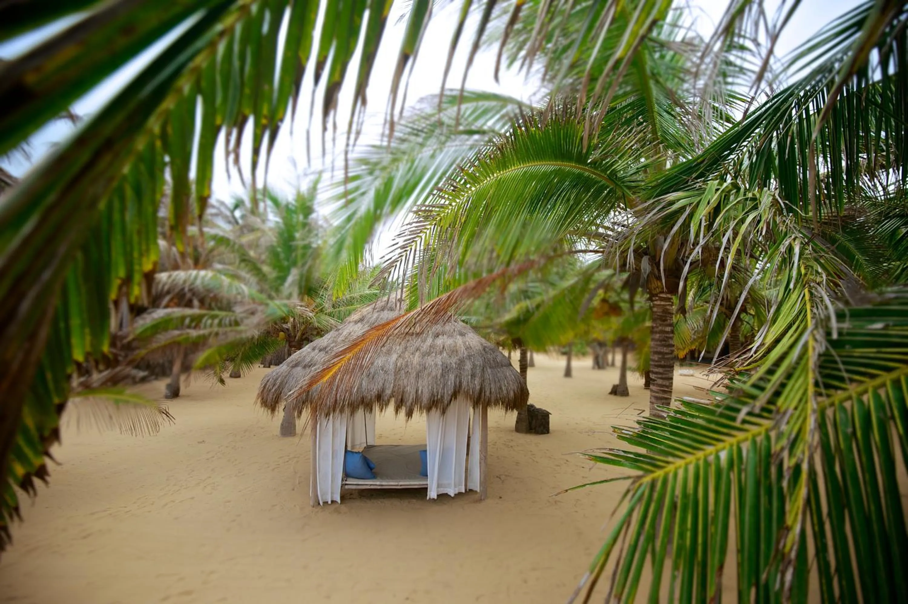 Other in Dolphin Beach Resort