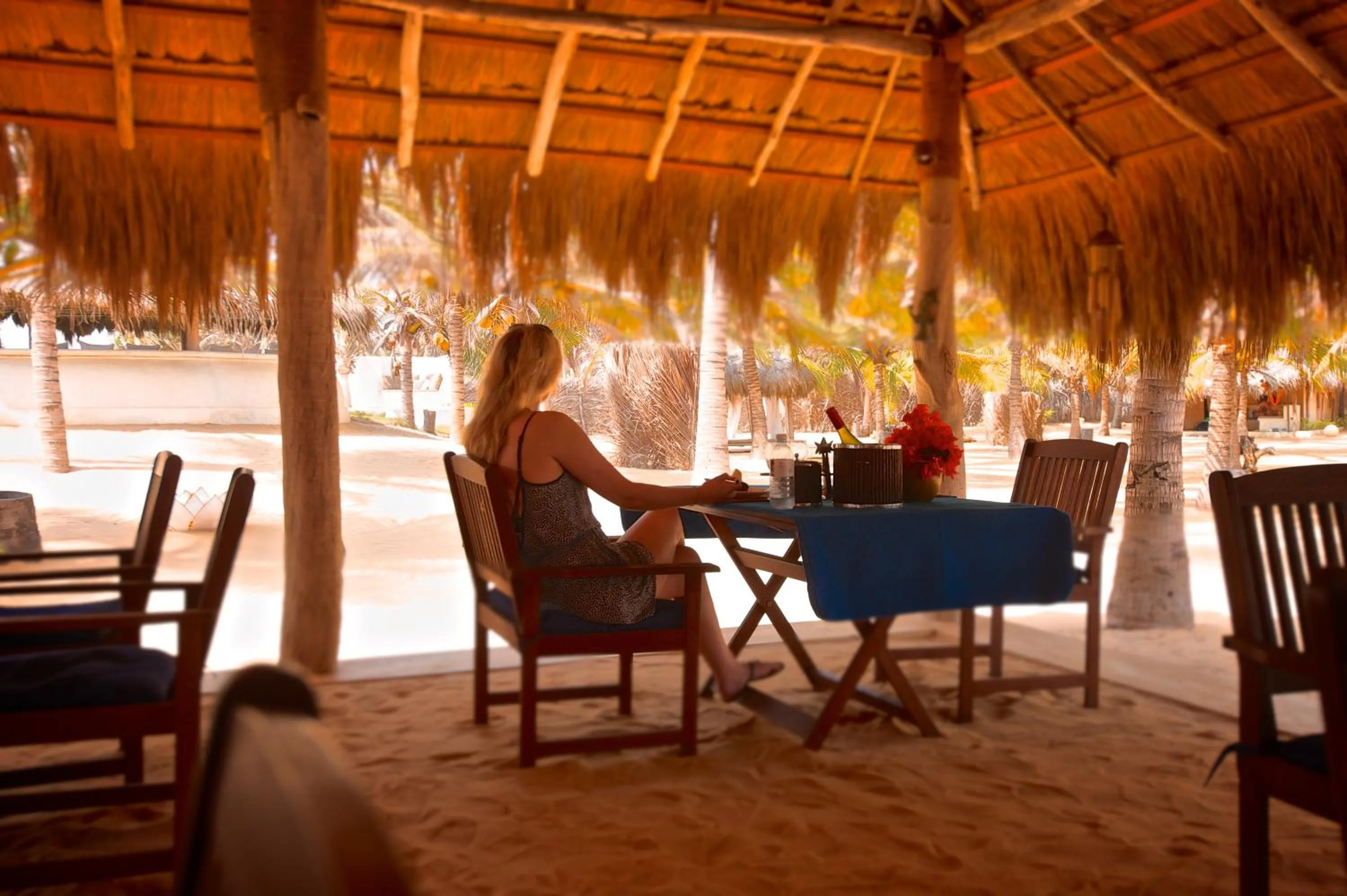 Restaurant/places to eat in Dolphin Beach Resort