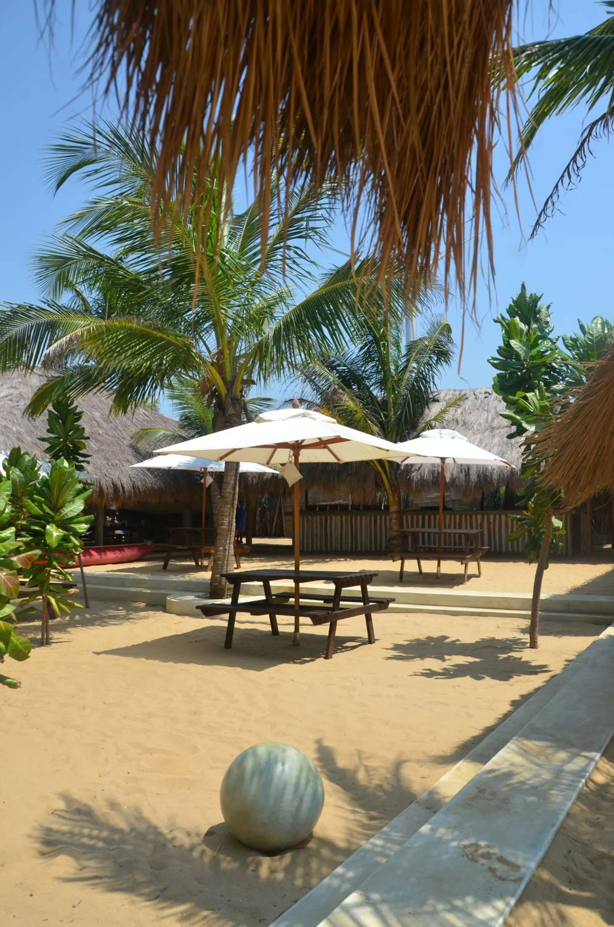 Lounge or bar in Dolphin Beach Resort