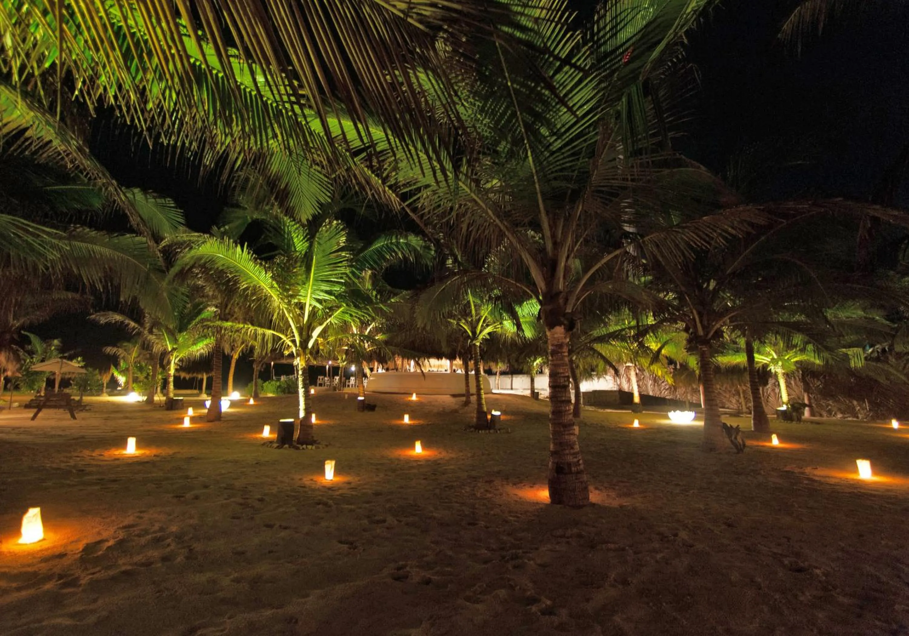 Garden in Dolphin Beach Resort