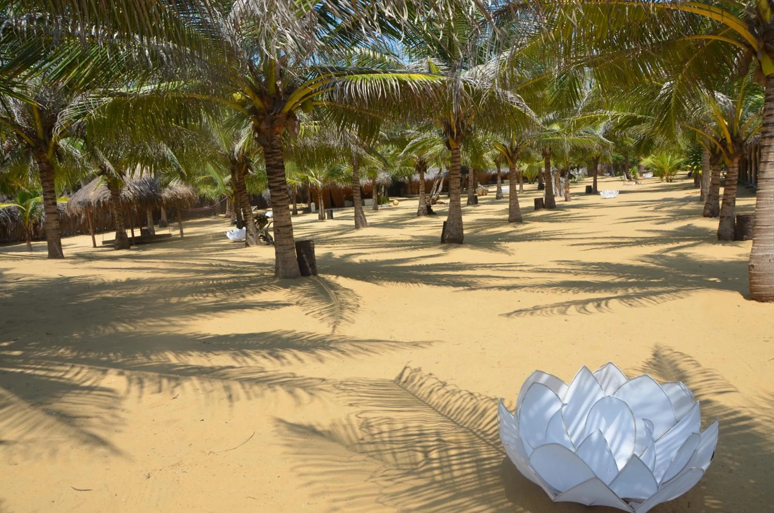 Other in Dolphin Beach Resort