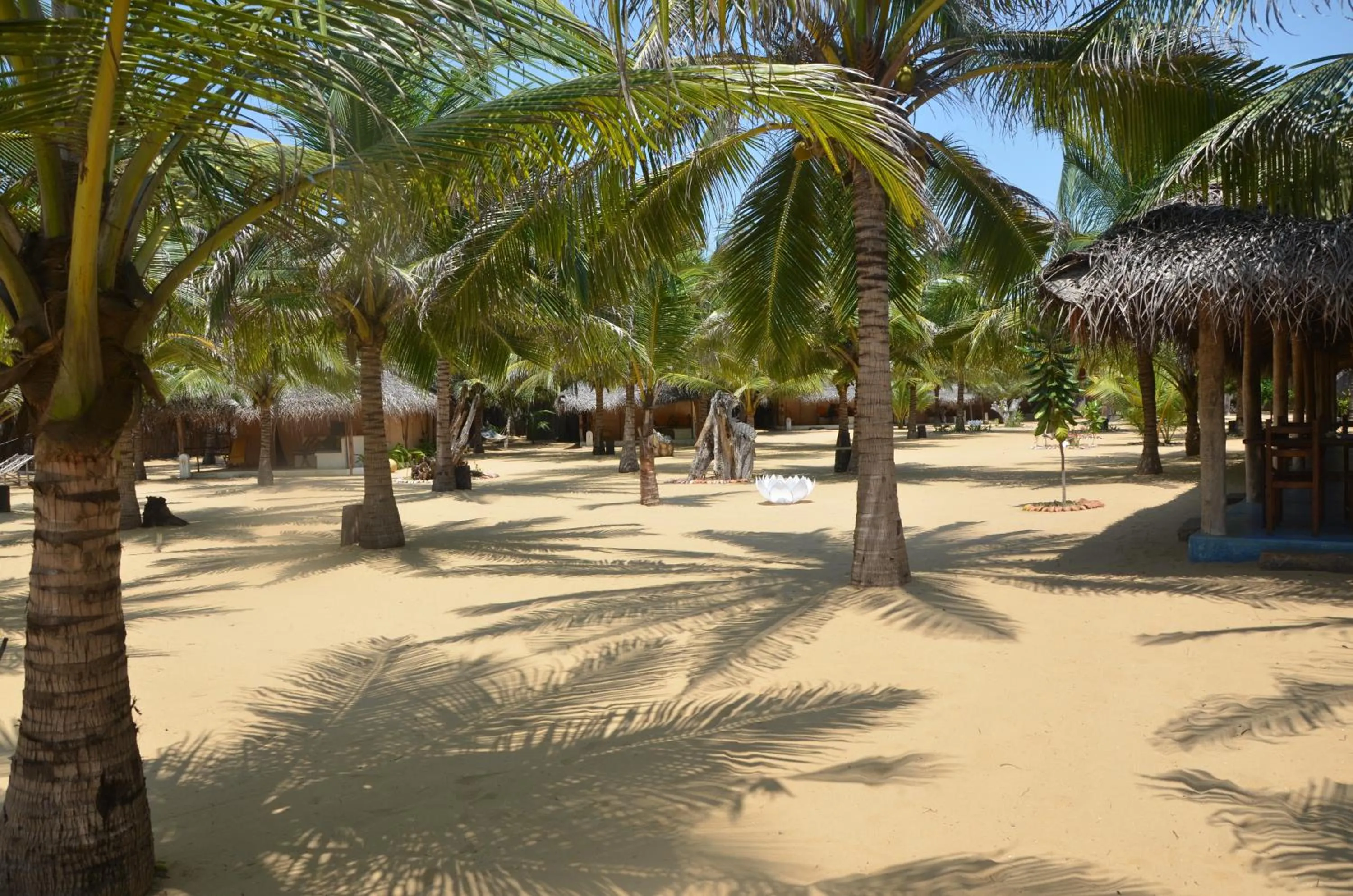 Other in Dolphin Beach Resort