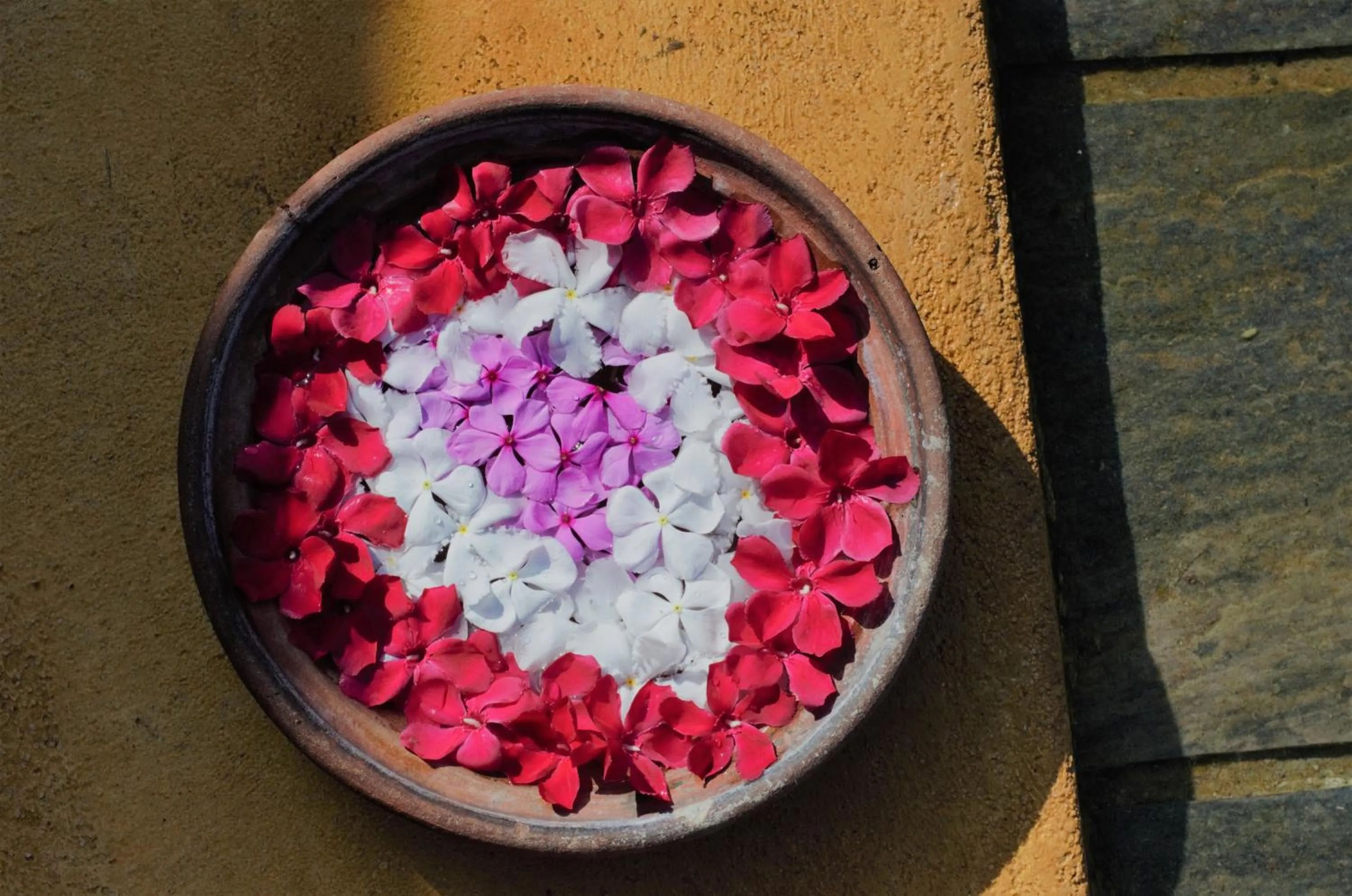 Decorative detail in Dolphin Beach Resort