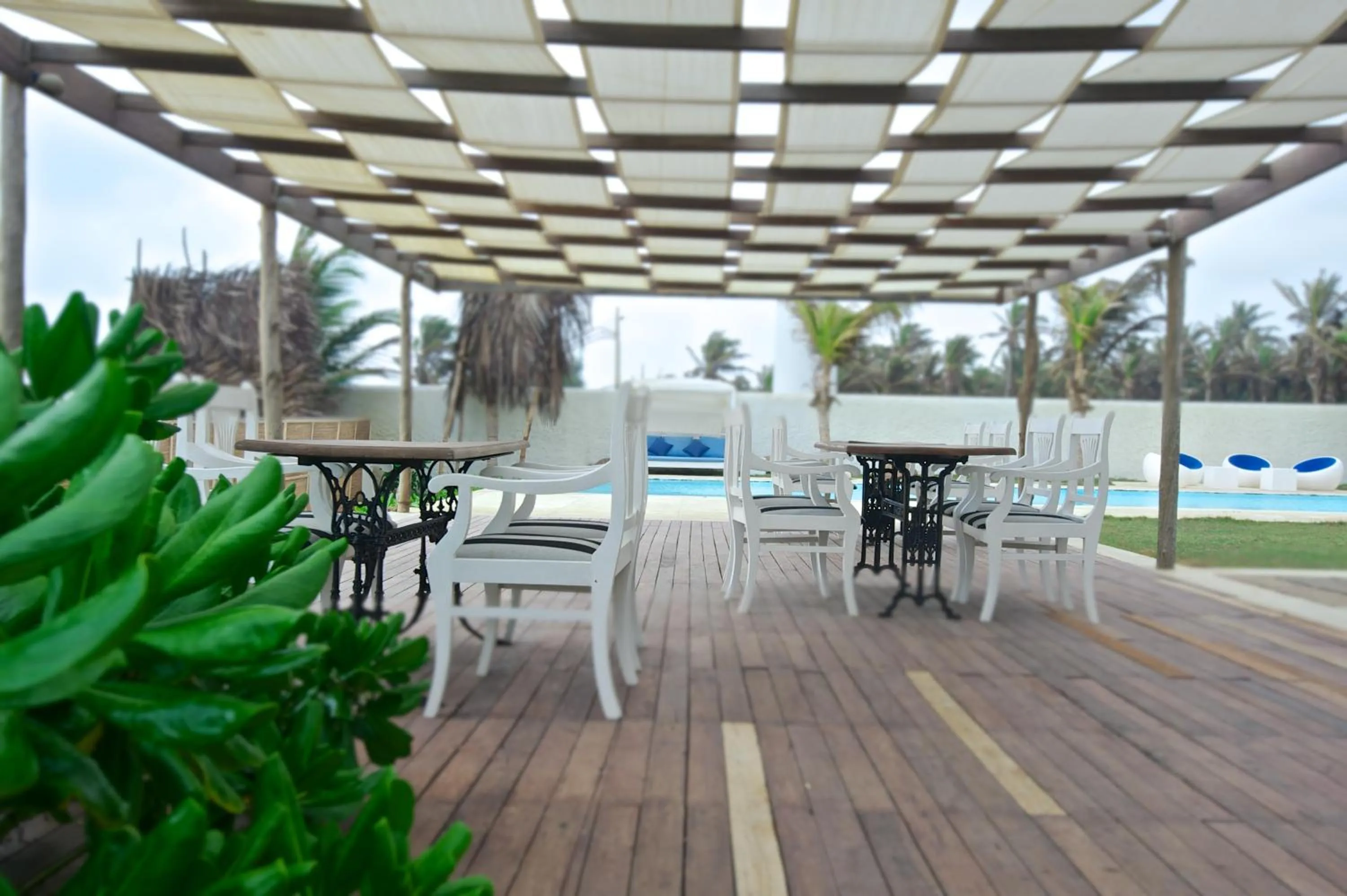 Patio in Dolphin Beach Resort