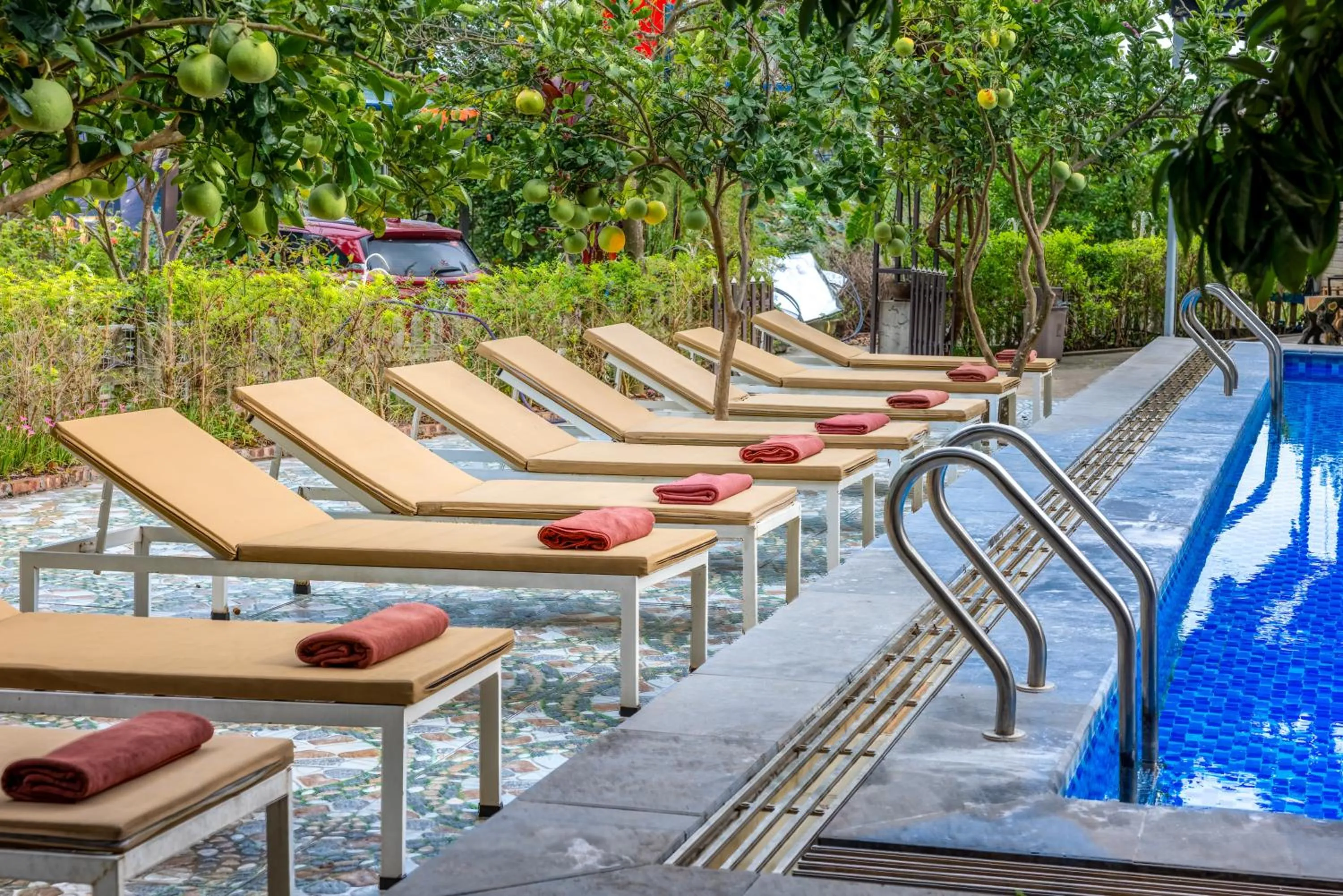 Spring in Eco Field Nest Tam Coc