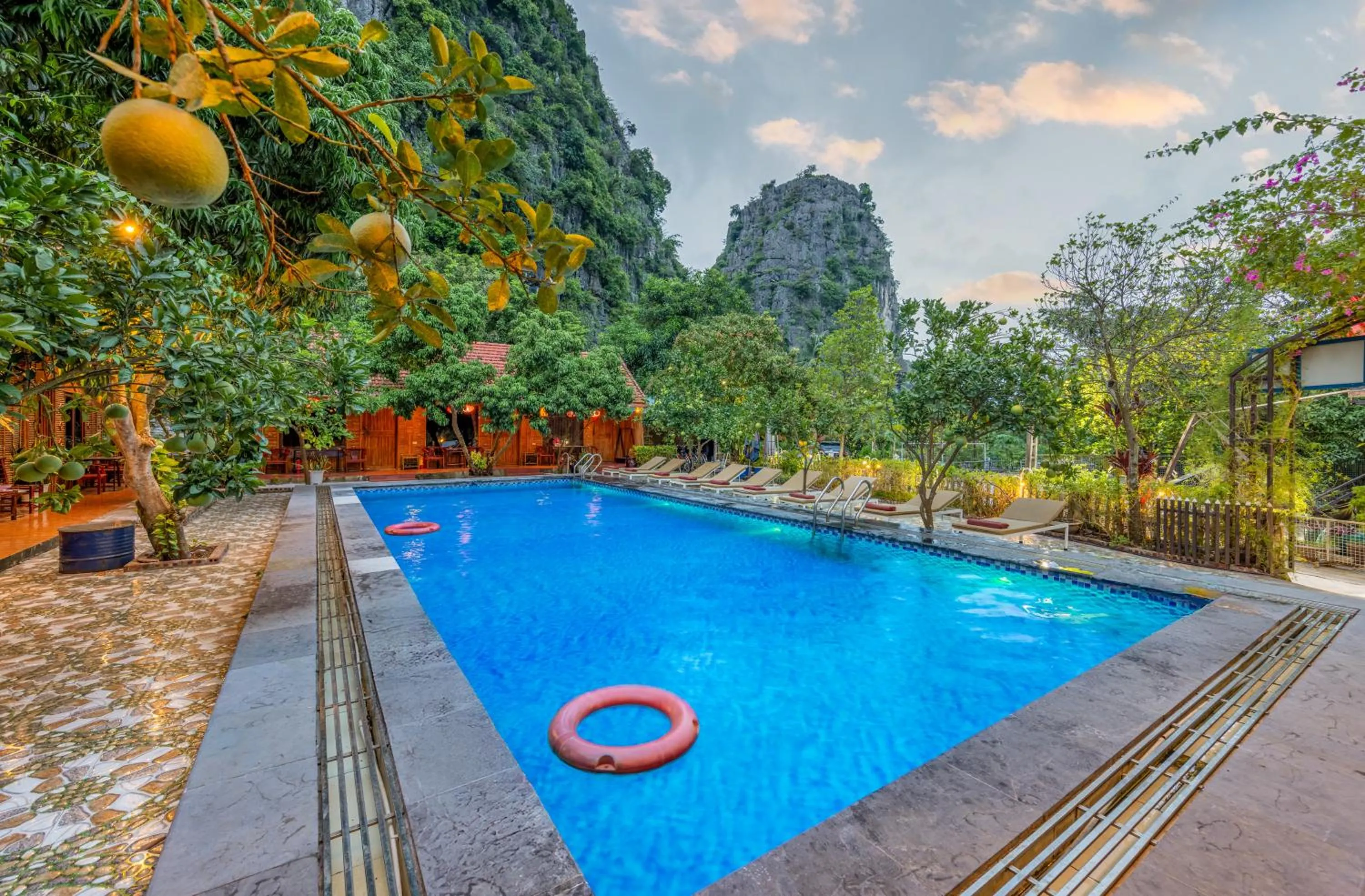 Spring in Eco Field Nest Tam Coc