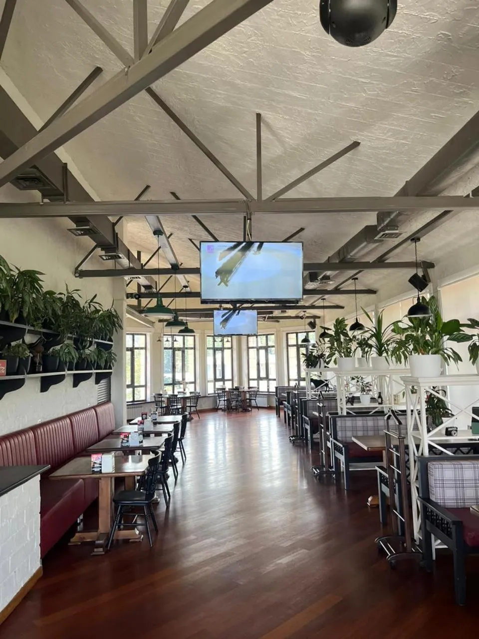 Restaurant/places to eat in Alma