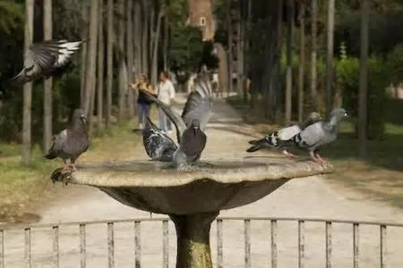 Nearby landmark in b&b Gio Colosseo - Celio