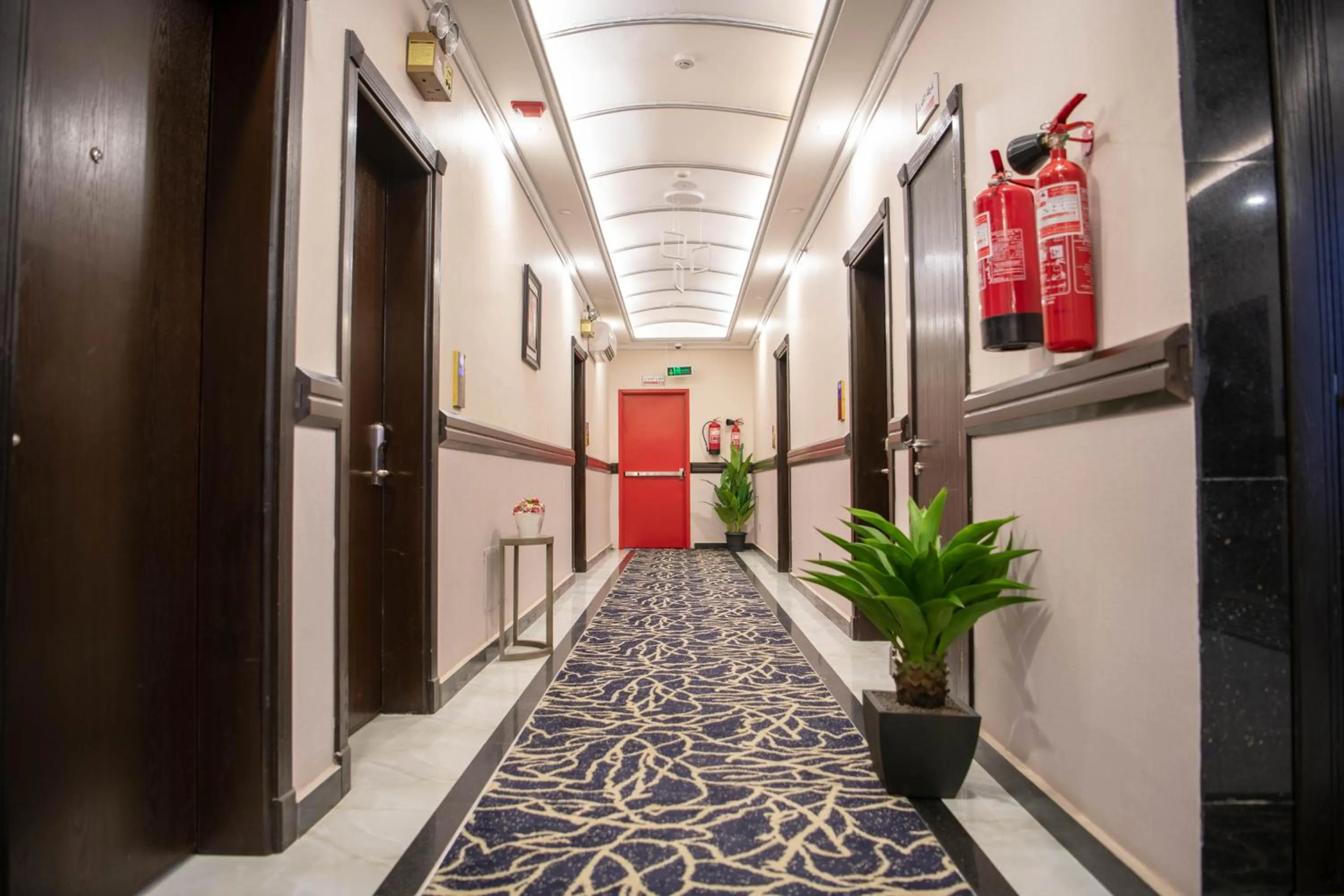 Patio in Viola Hotel