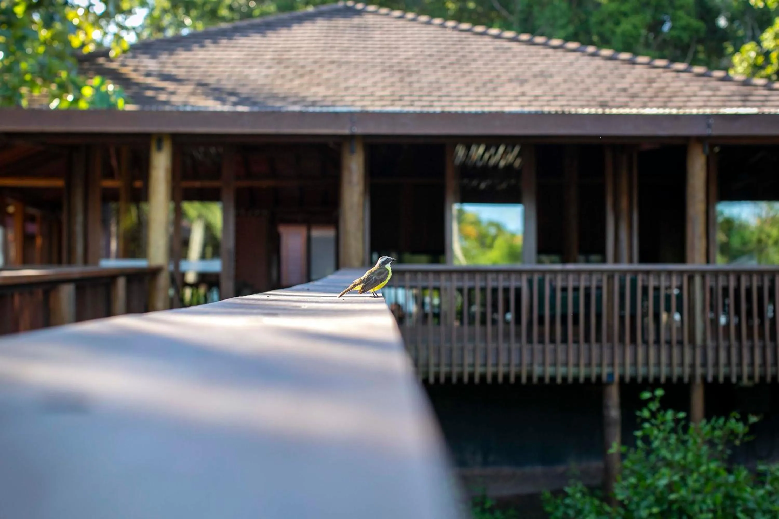 Lobby or reception in Kûara Hotel