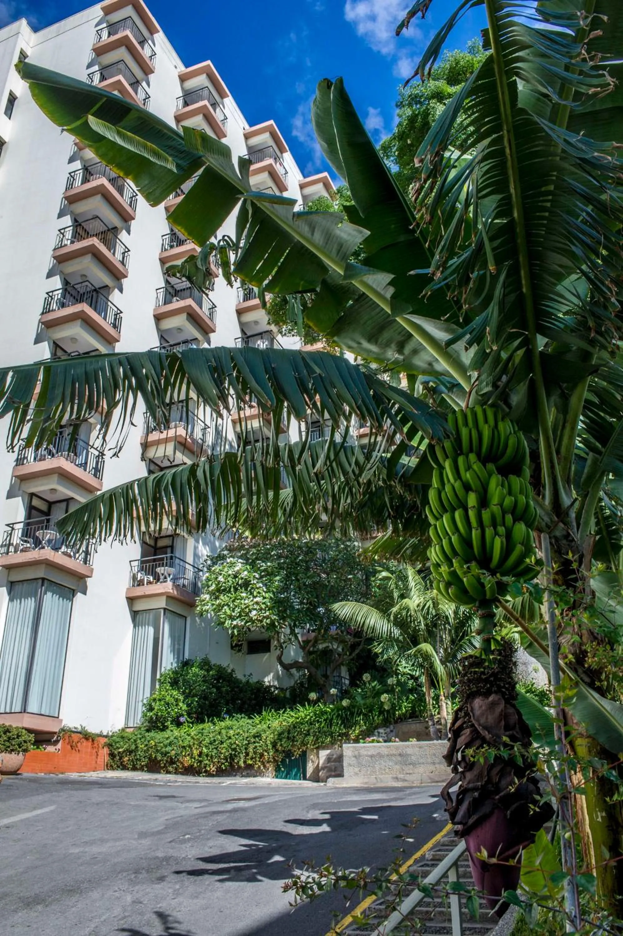 Property building in Dorisol Mimosa Studio Hotel