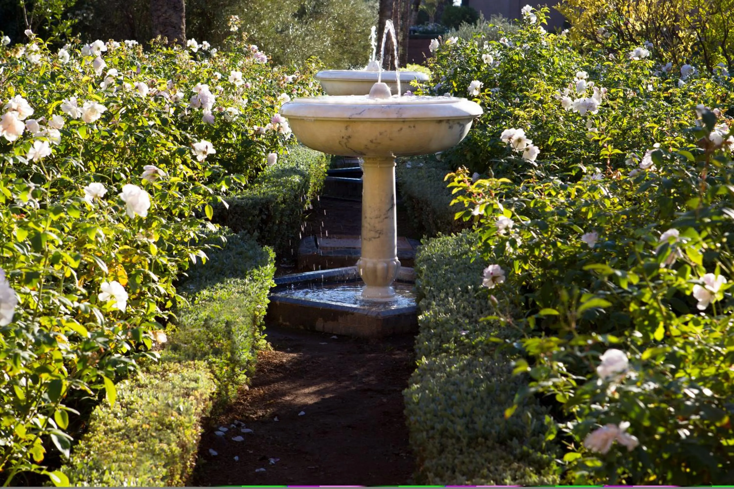 Spring in Selman Marrakech