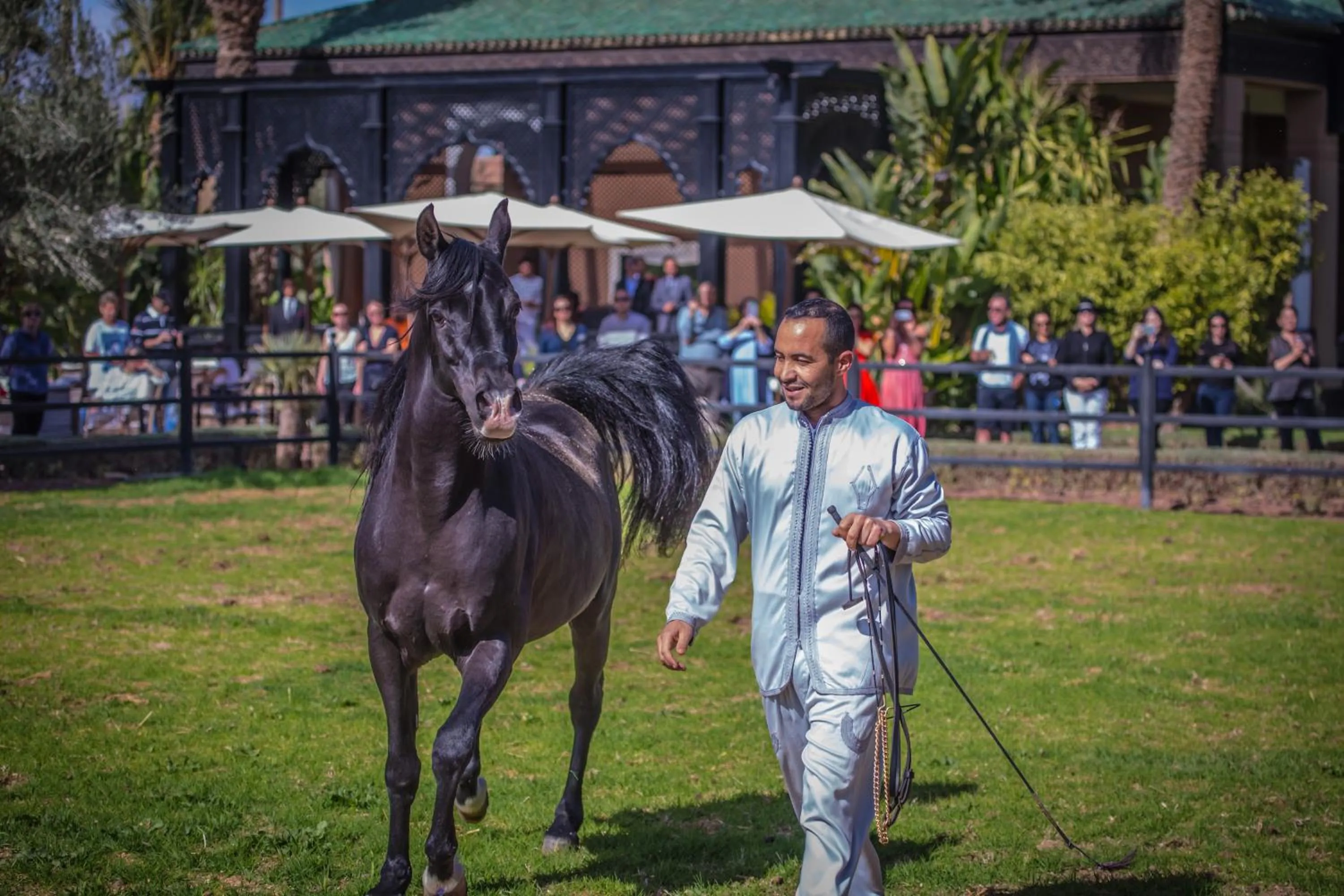 Property building in Selman Marrakech