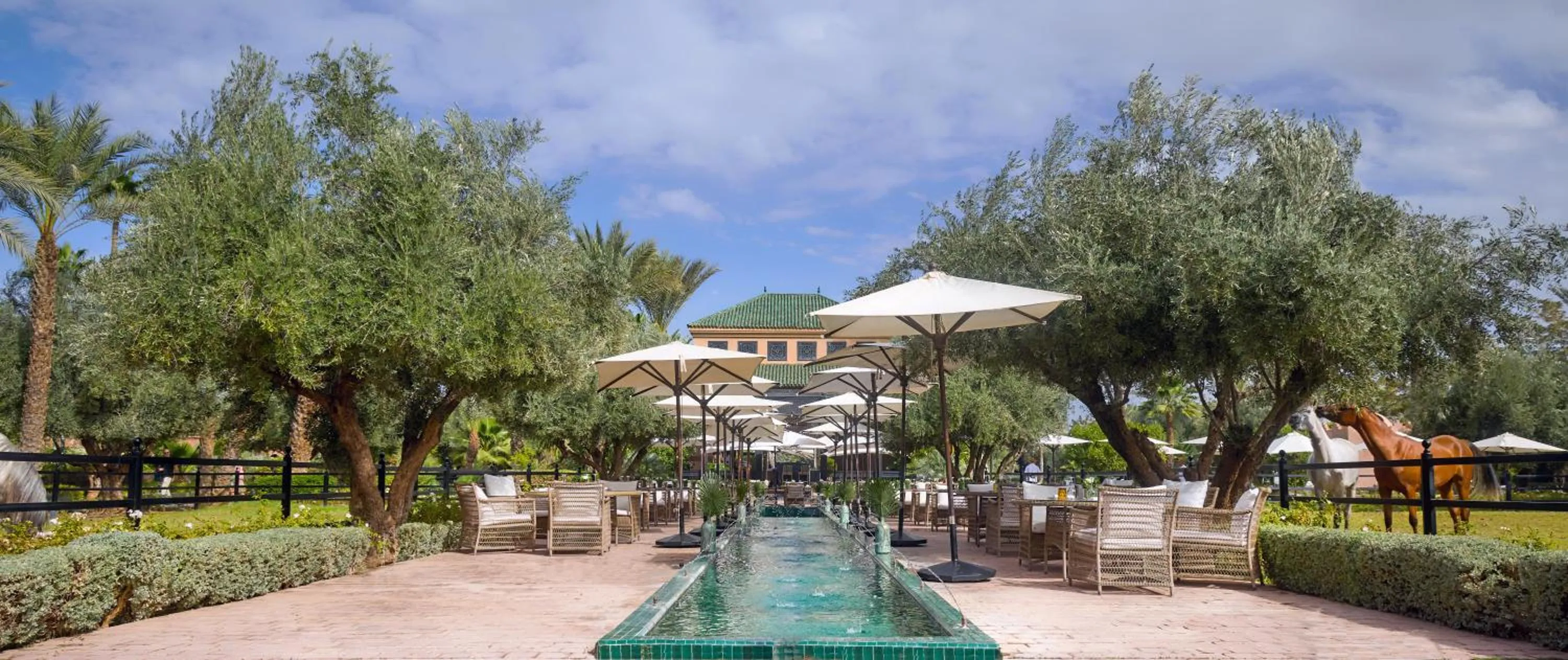 Restaurant/places to eat in Selman Marrakech