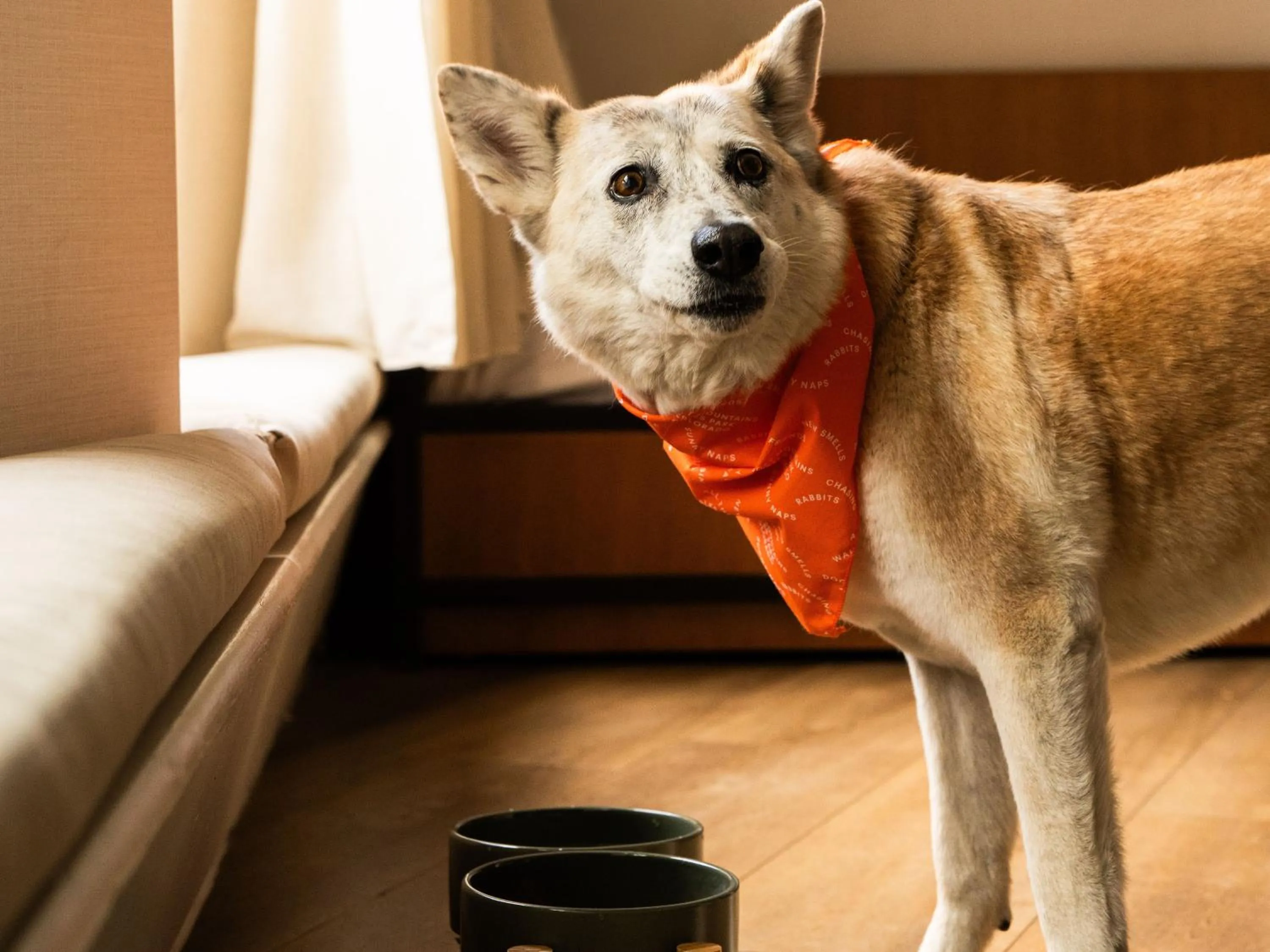 Trailborn Rocky Mountains Outpost