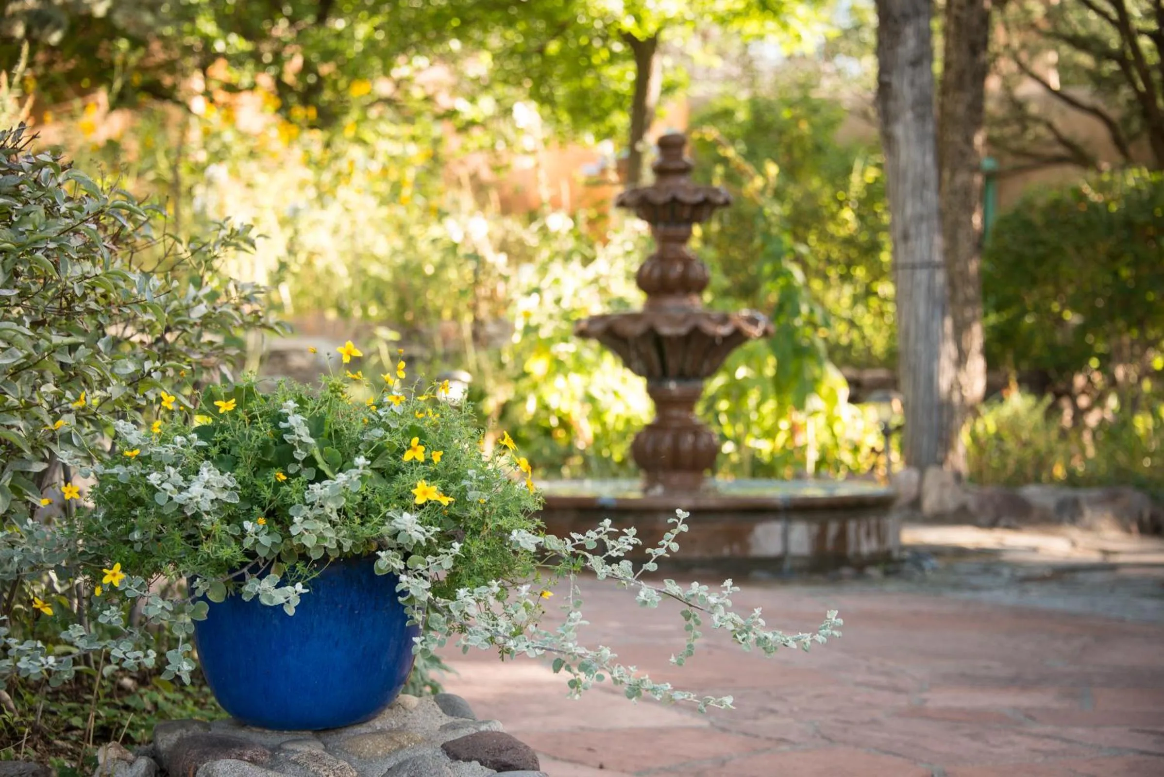 Garden in Inn of the Turquoise Bear
