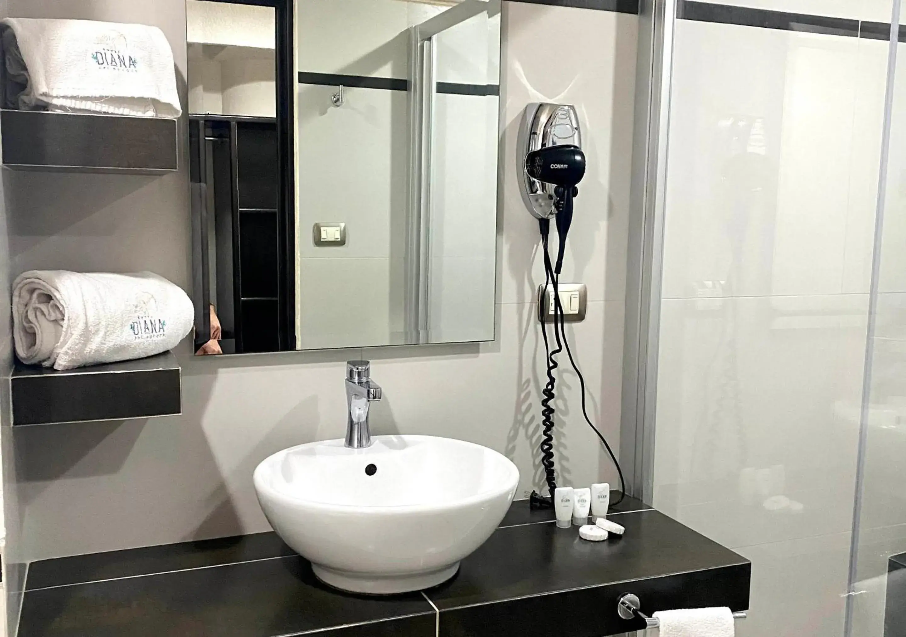 Superior King Room in Hotel Diana del Bosque by DOT Urban Superior King Room in Hotel Diana del Bosque by DOT Urban