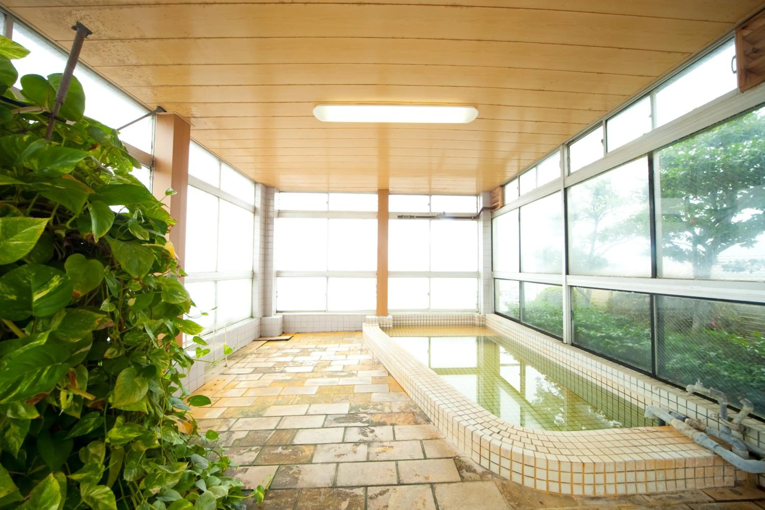 Hot Spring Bath in Hotel Hayashi