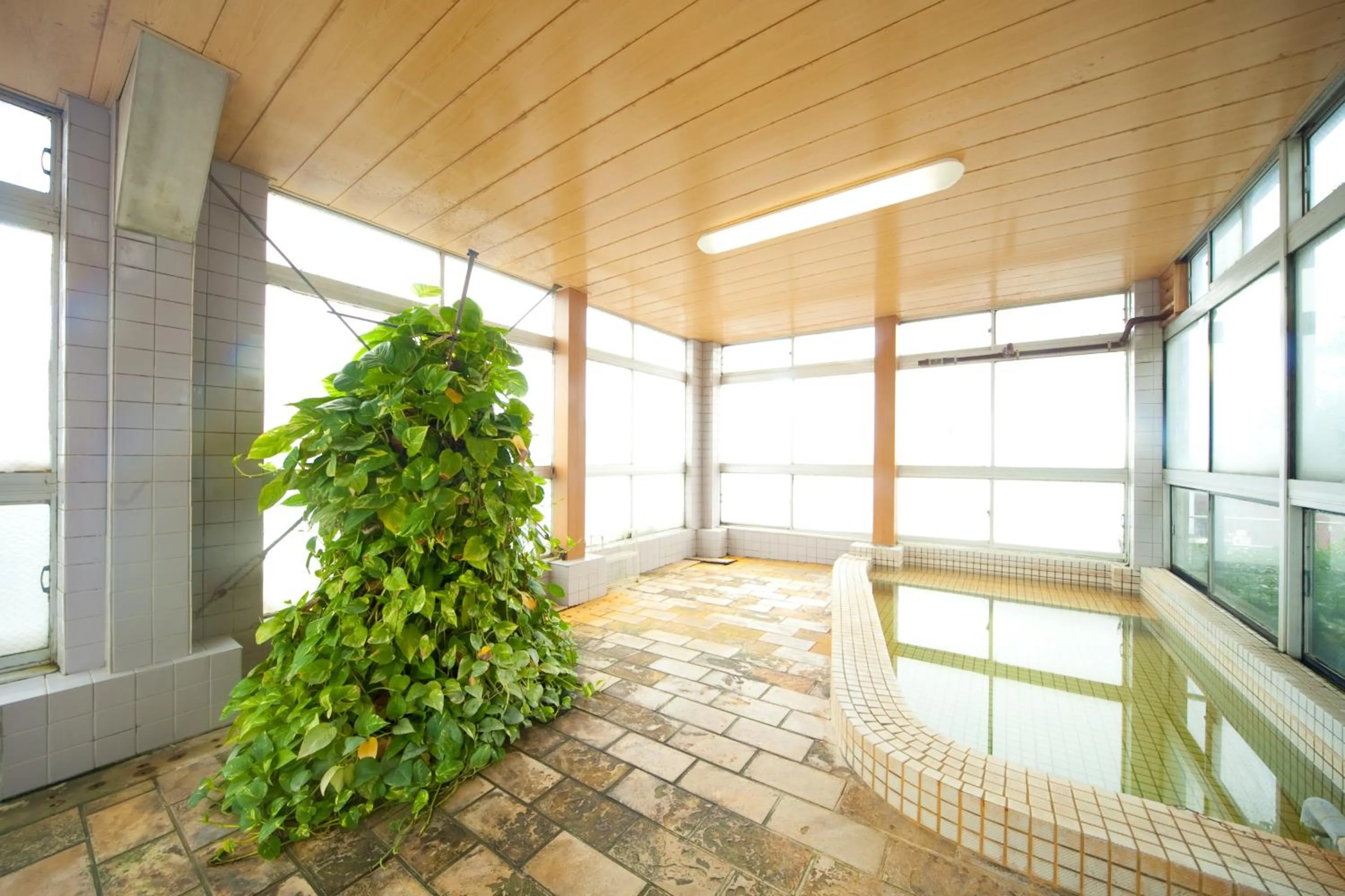 Hot Spring Bath in Hotel Hayashi
