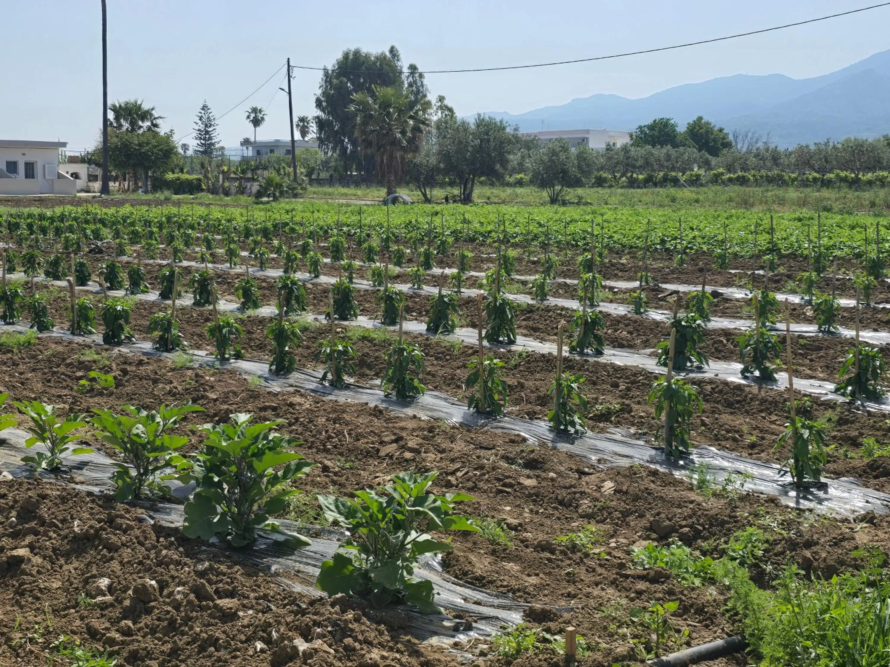 ILIOS K Village Resort