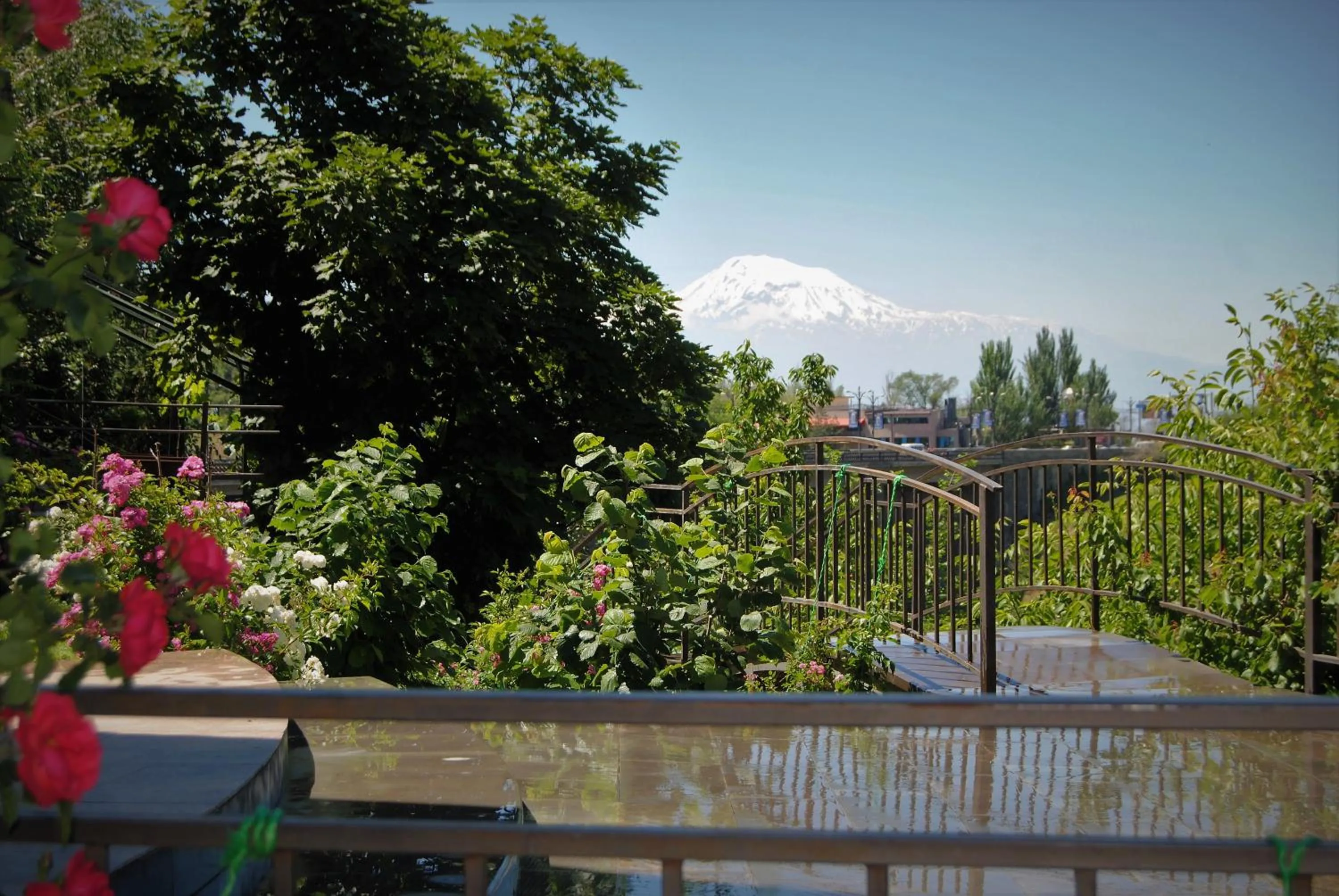 Garden in Olympia Garden Hotel