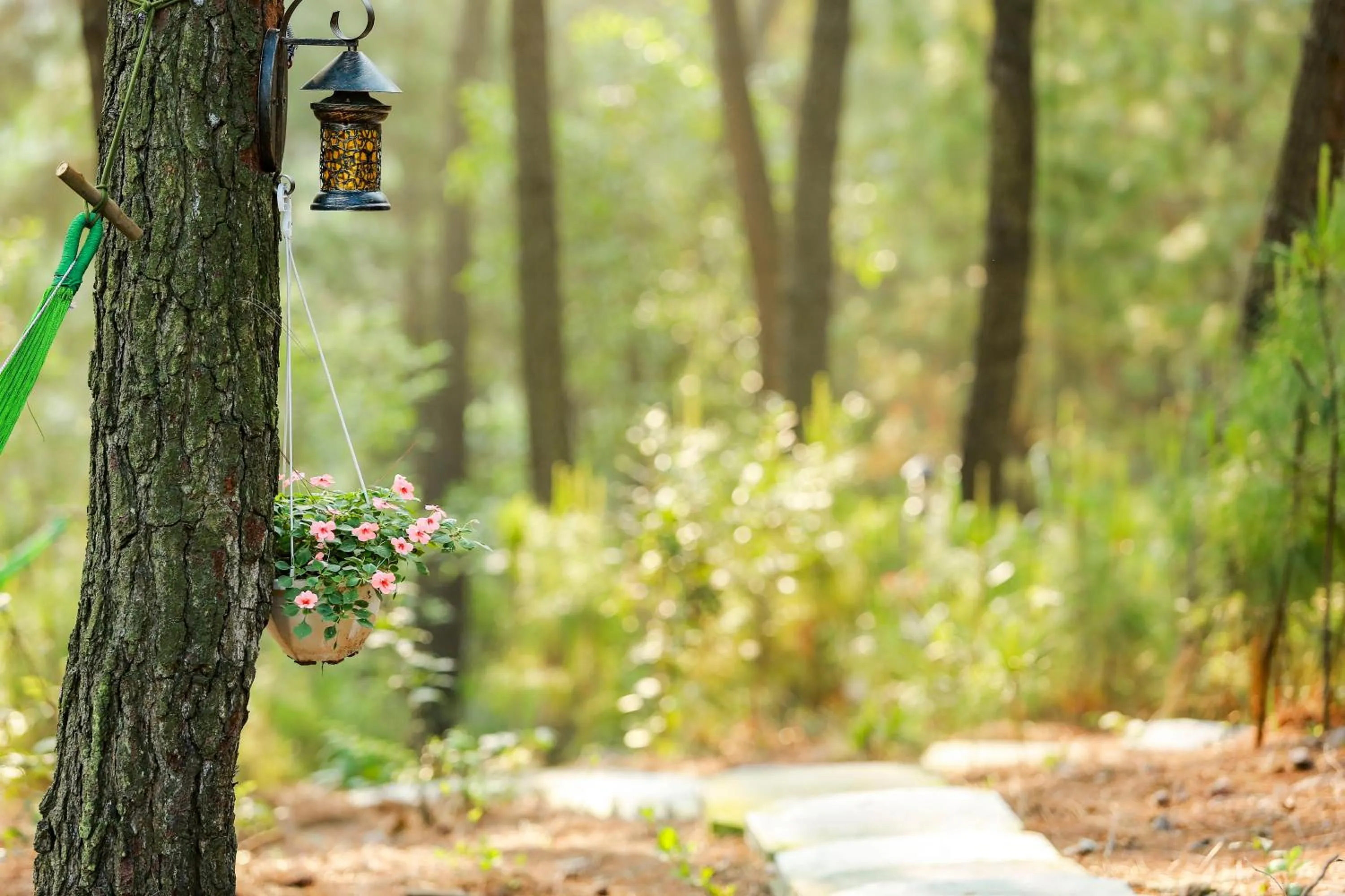 Living room in Cat Ba Eco Lodge