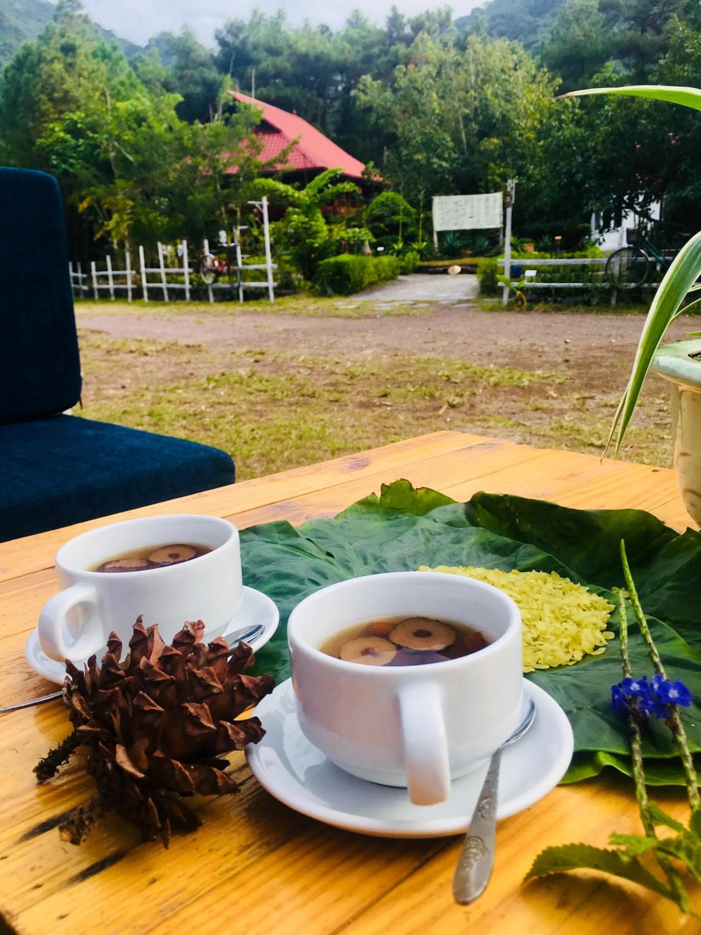 Living room in Cat Ba Eco Lodge