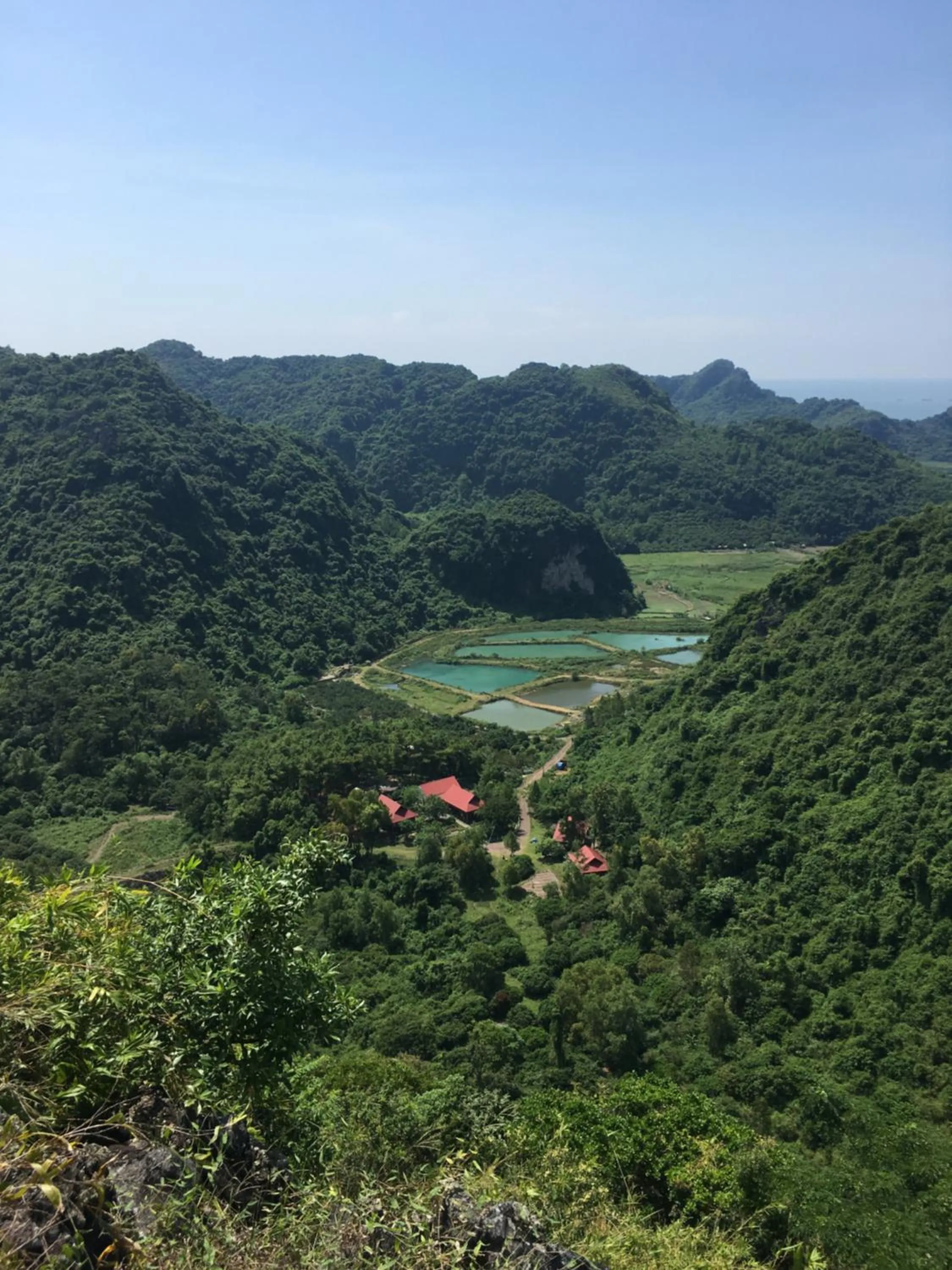 Cat Ba Eco Lodge
