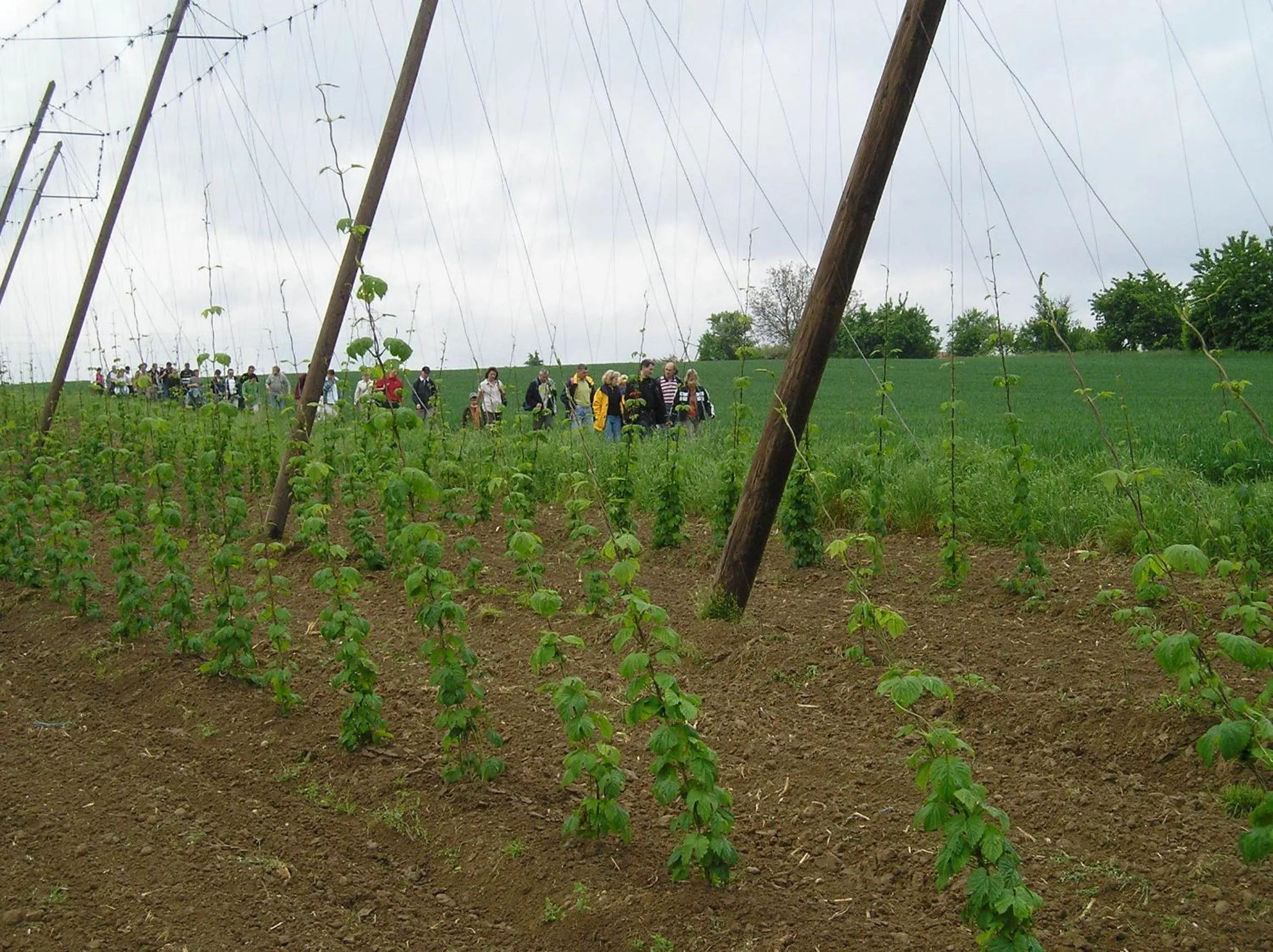Area and facilities in A l'étoile d'or