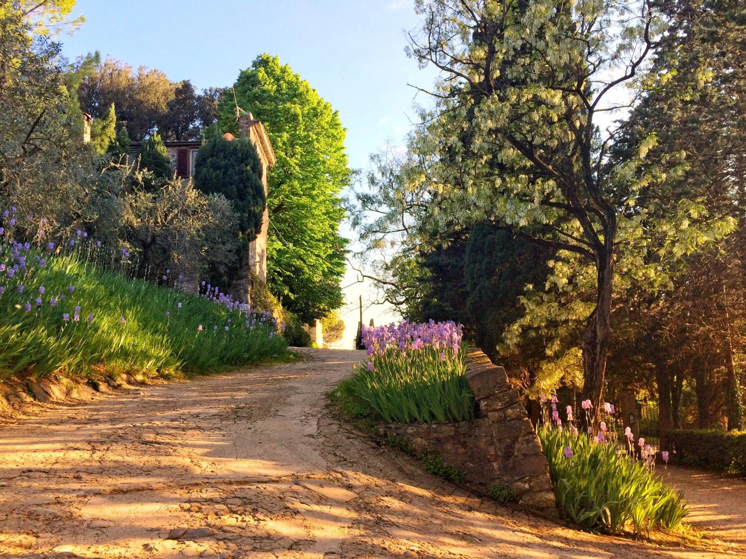 Spring in Villa Rucellai
