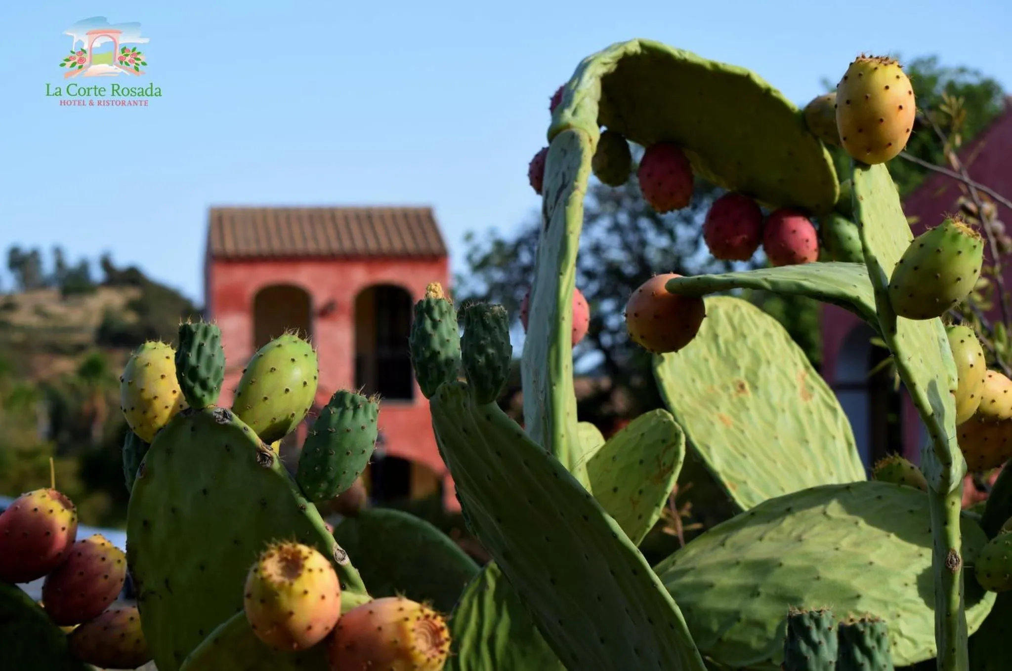 Property building in Hotel La Corte Rosada