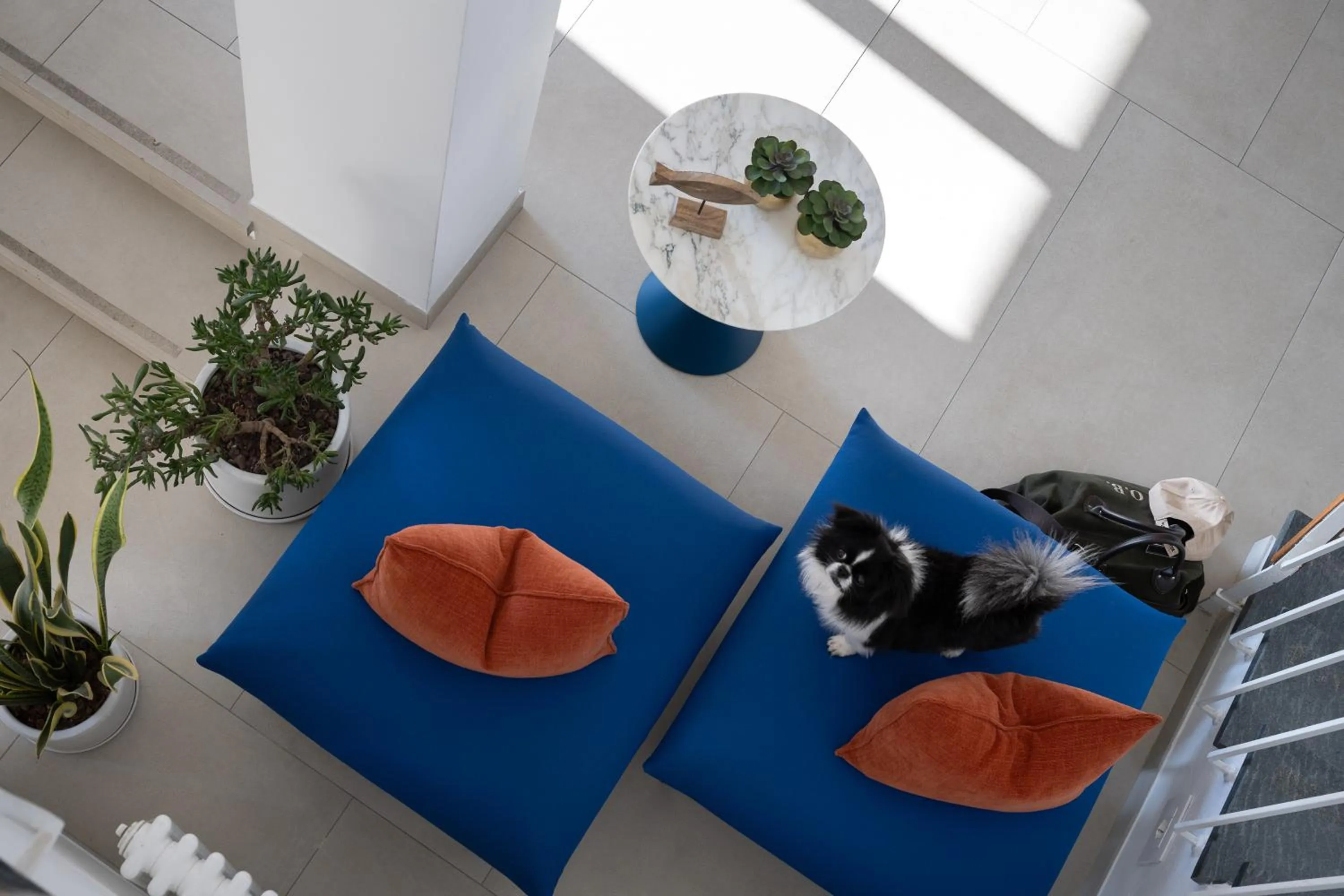 Lobby or reception in Hotel Venere Azzurra