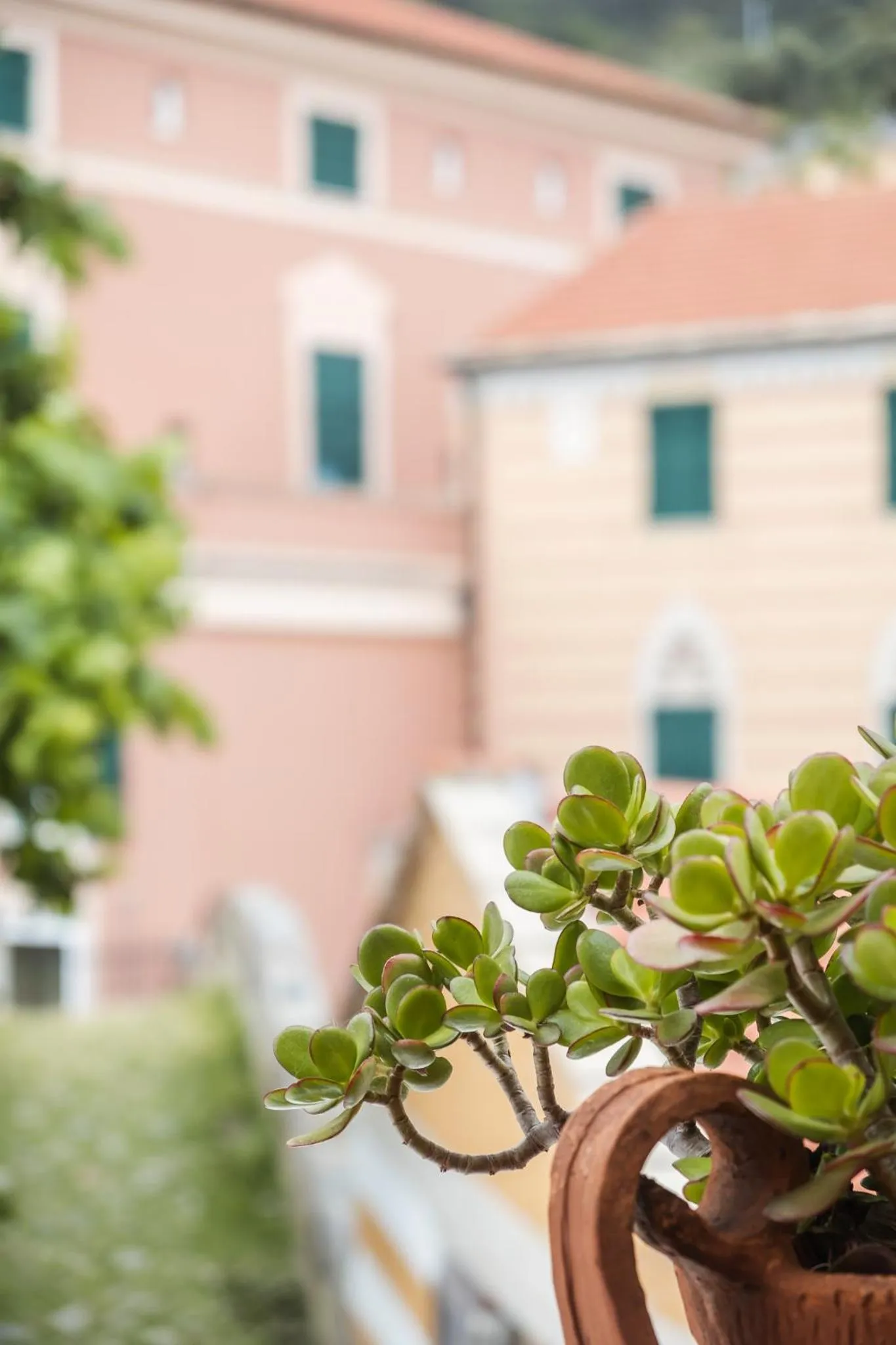 Property building in Hotel Miramare