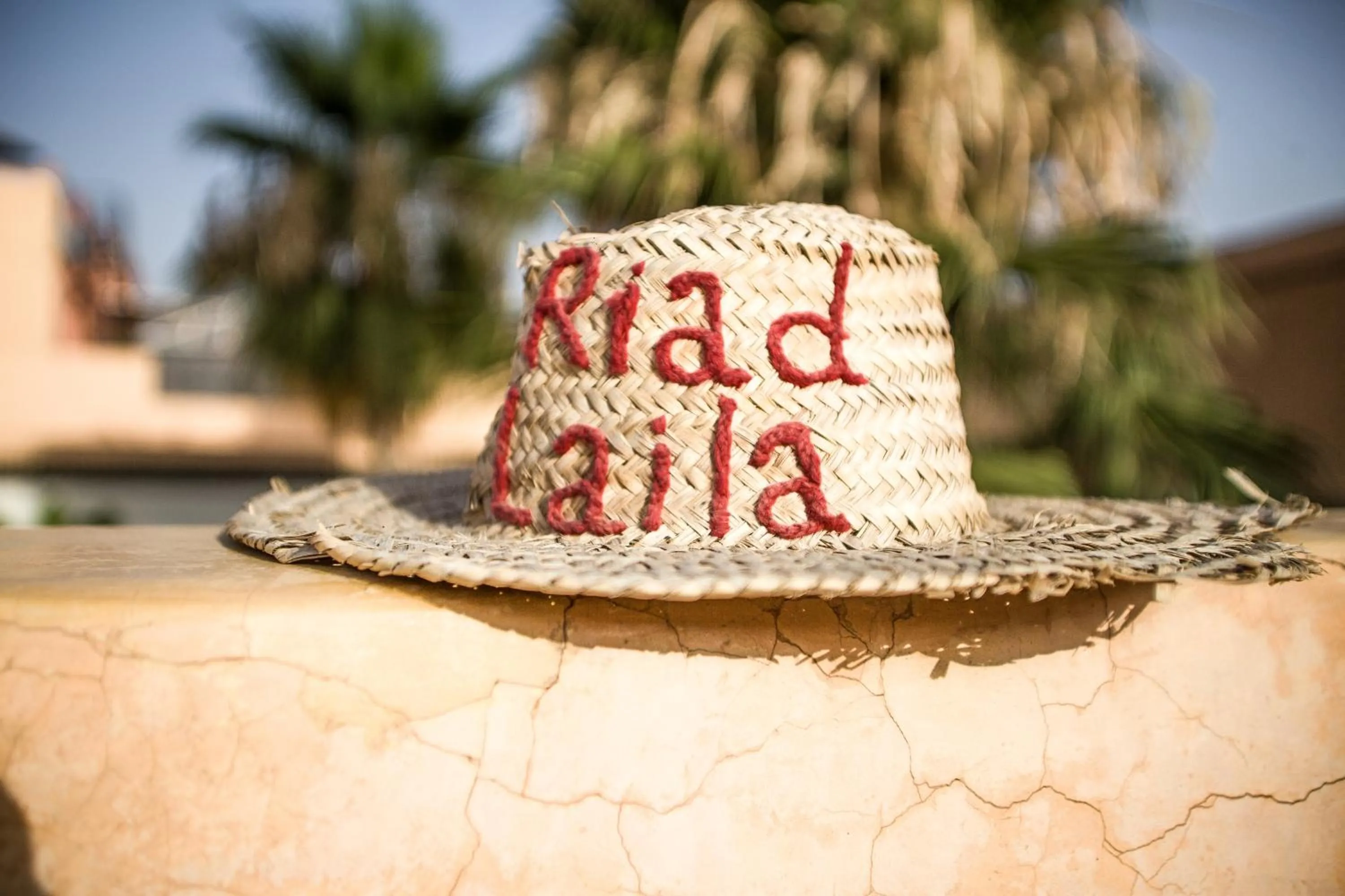 Property logo or sign in Riad Laila