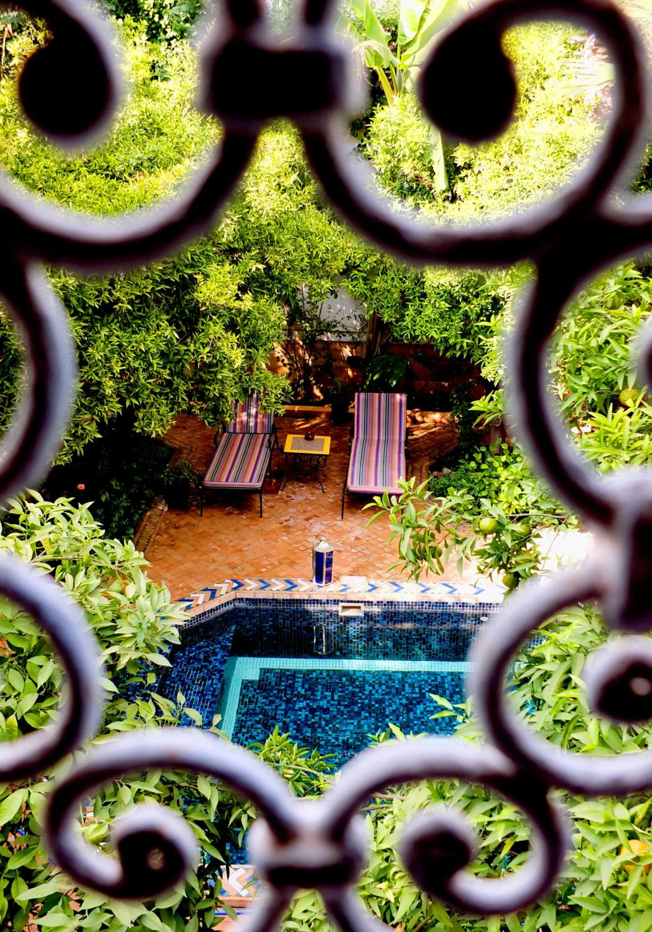 Garden in Riad Laila