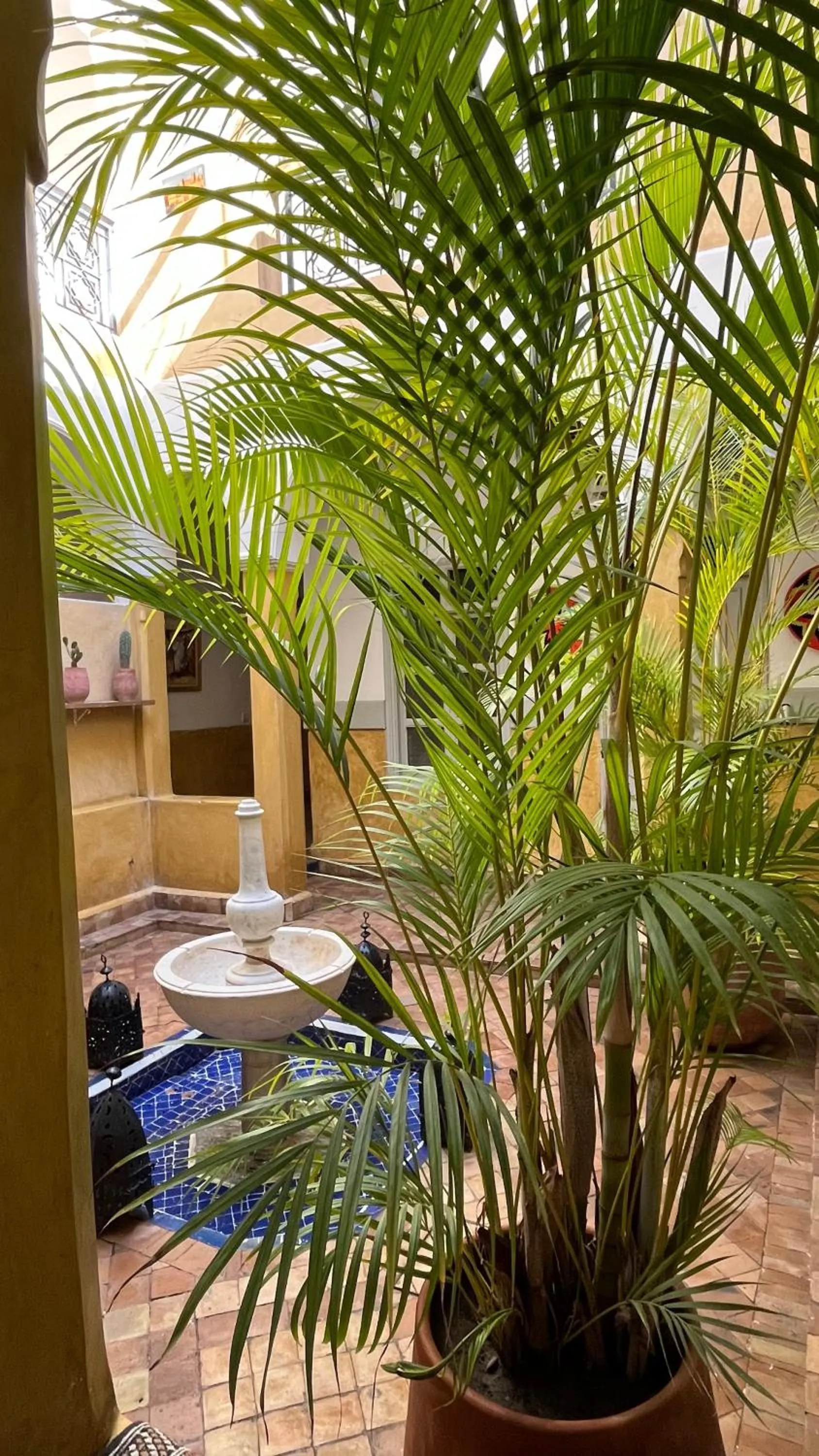 View (from property/room) in Riad Laila