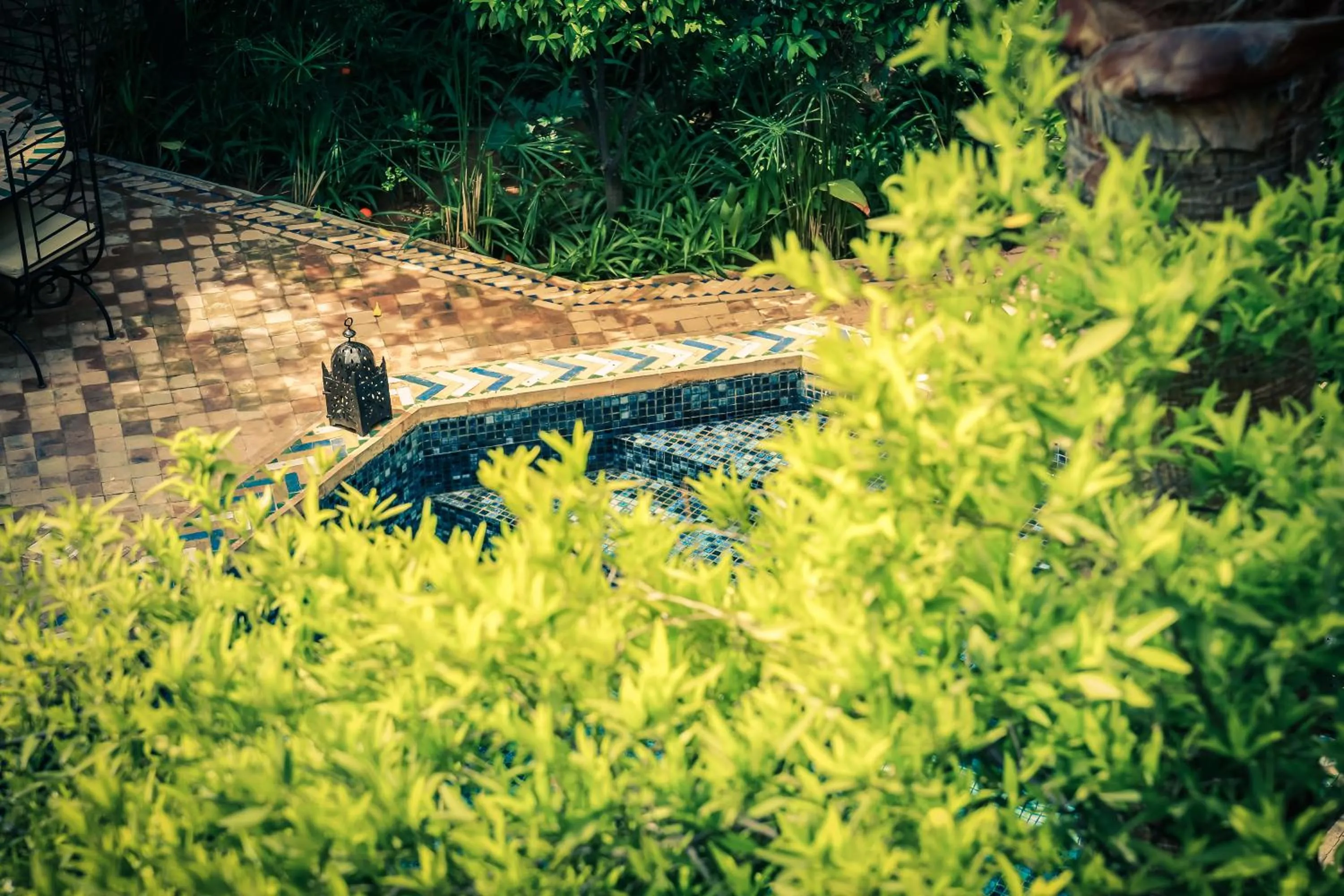 Garden in Riad Laila