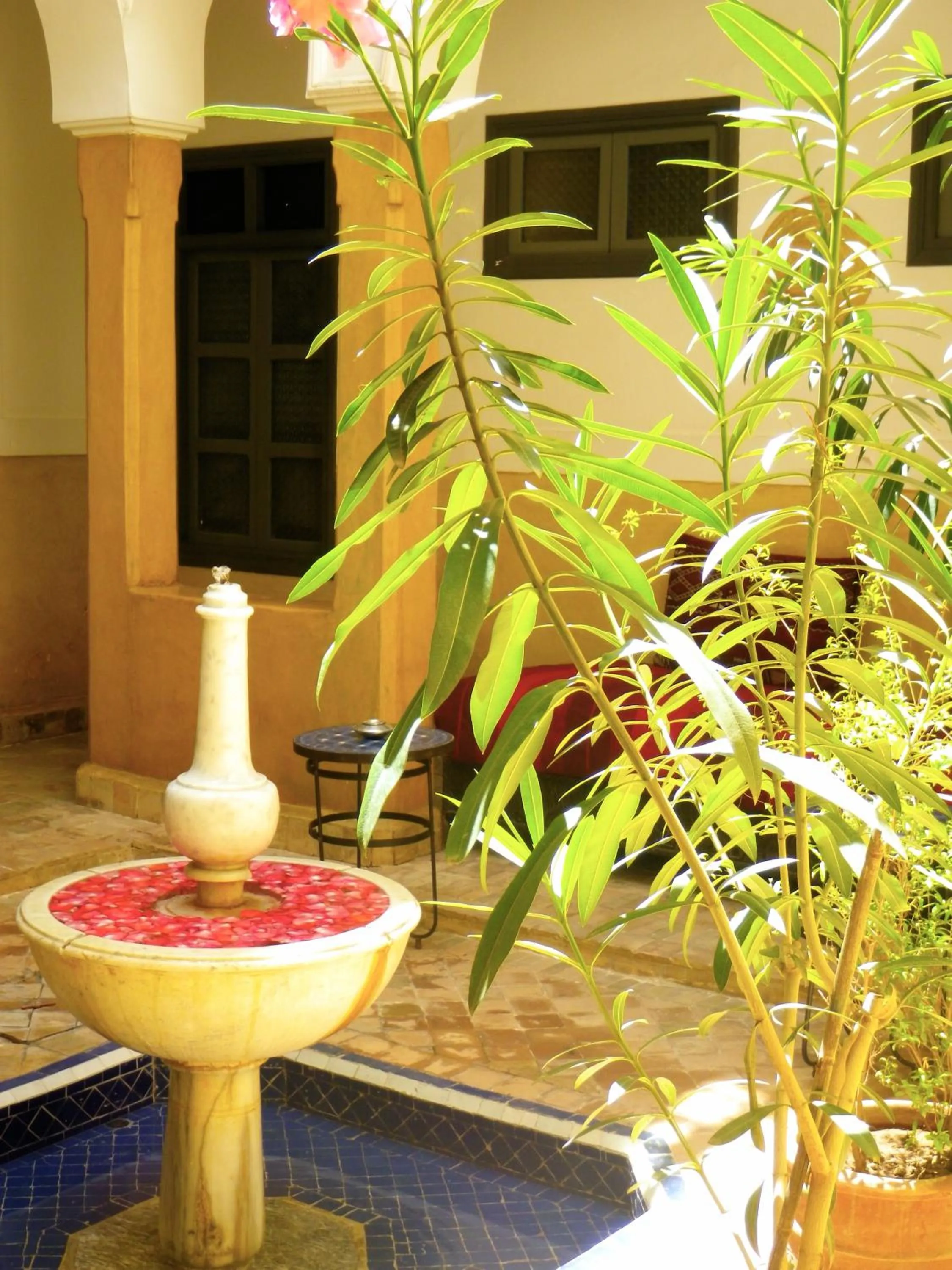 Garden in Riad Laila