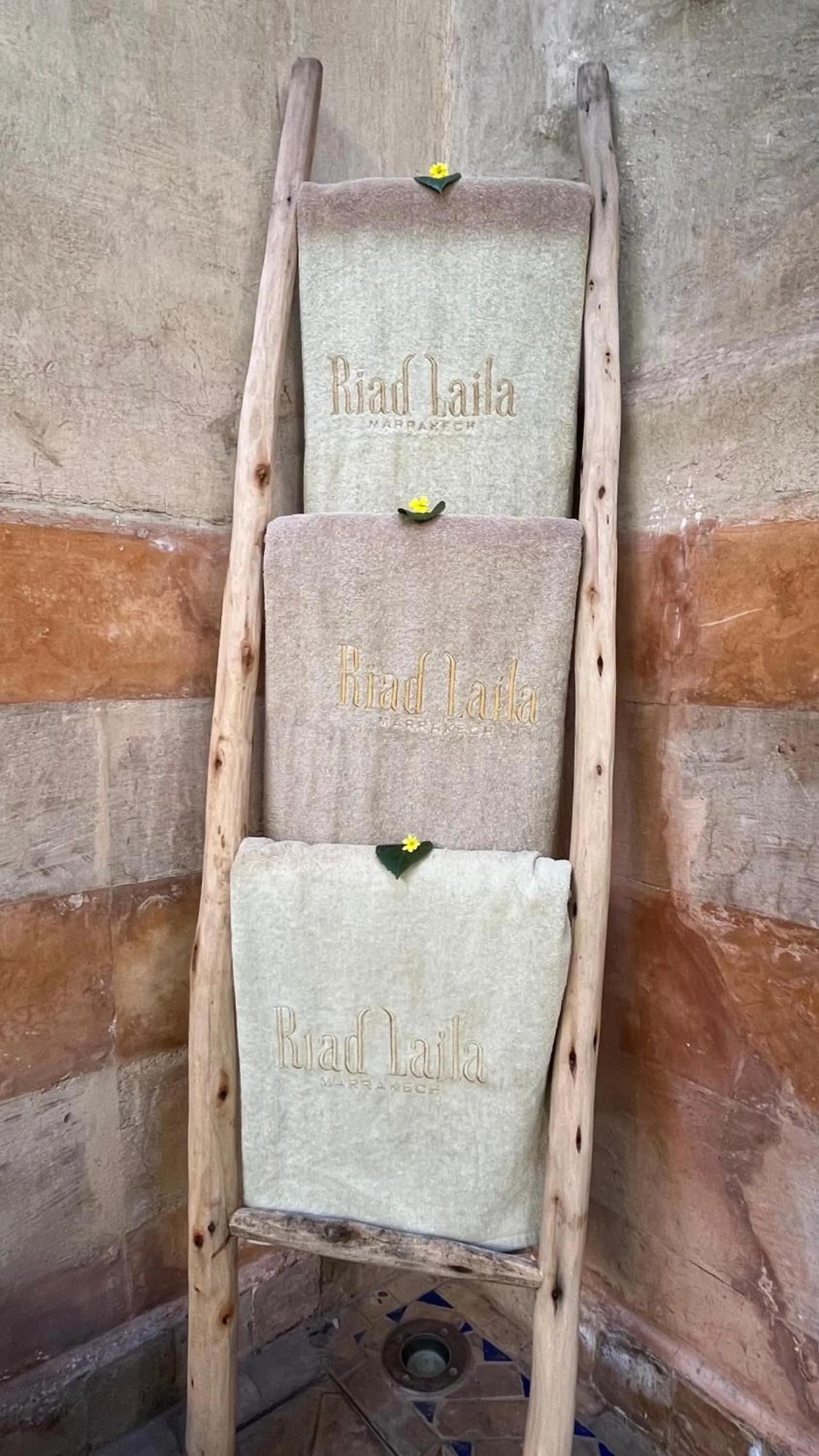 Property building in Riad Laila