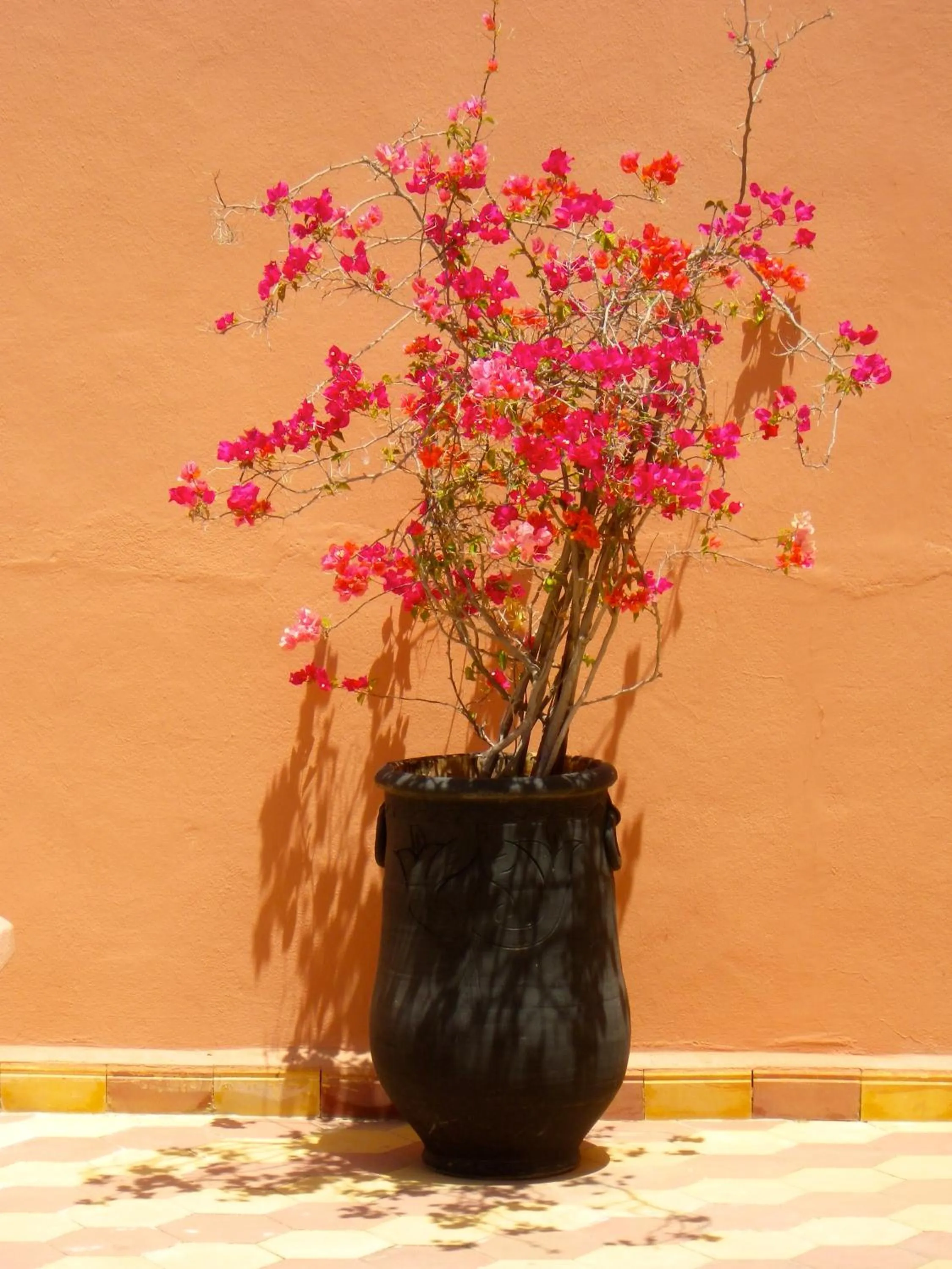 Decorative detail in Riad Laila