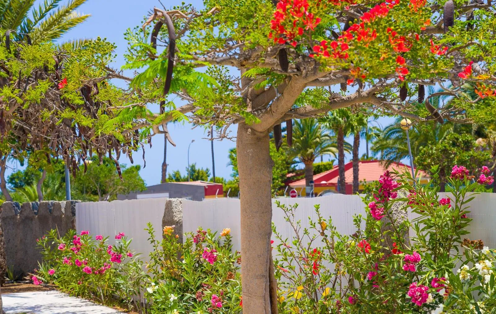 Garden in Bungalows Las Almenas