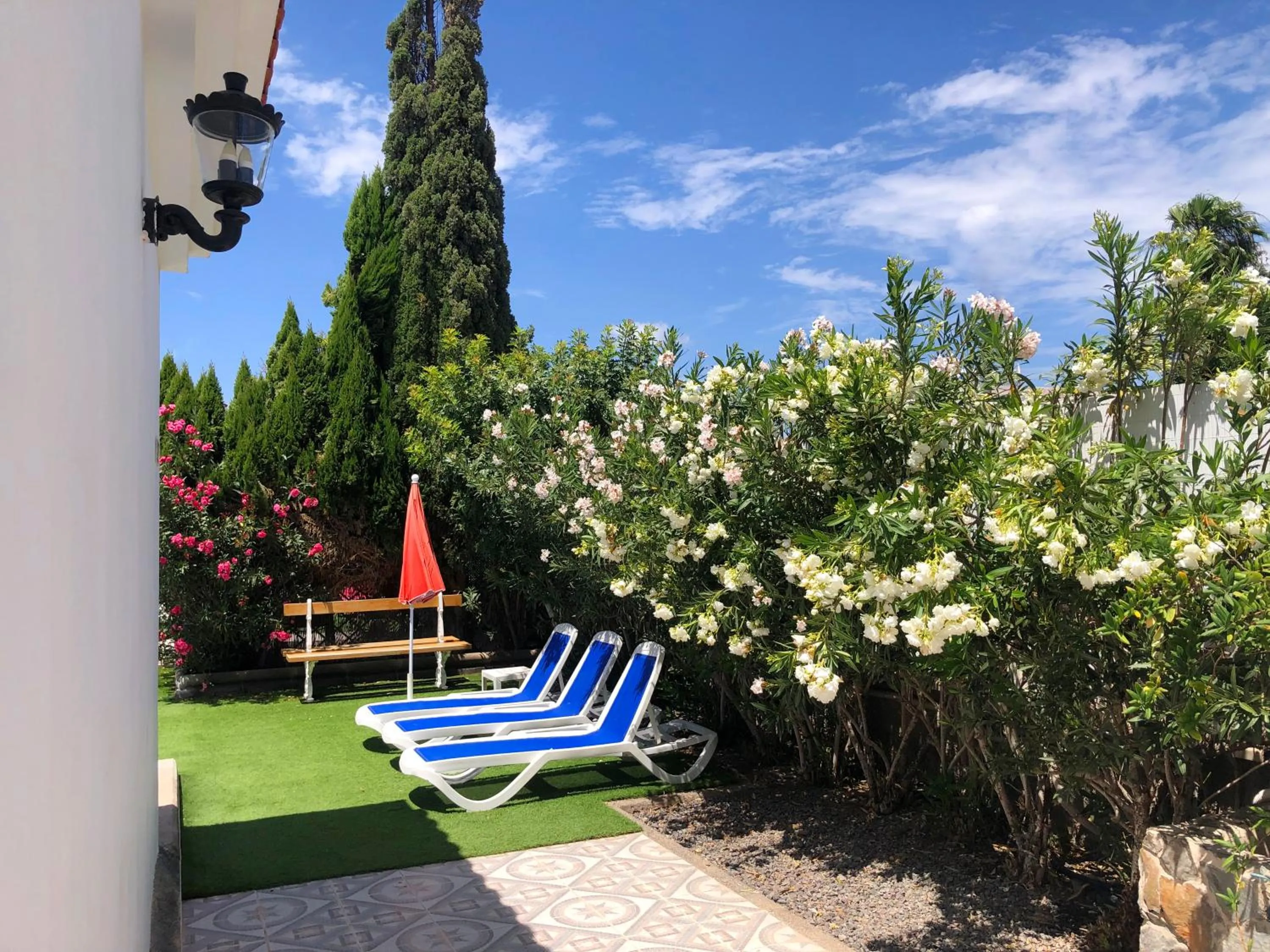 Garden in Bungalows Las Almenas