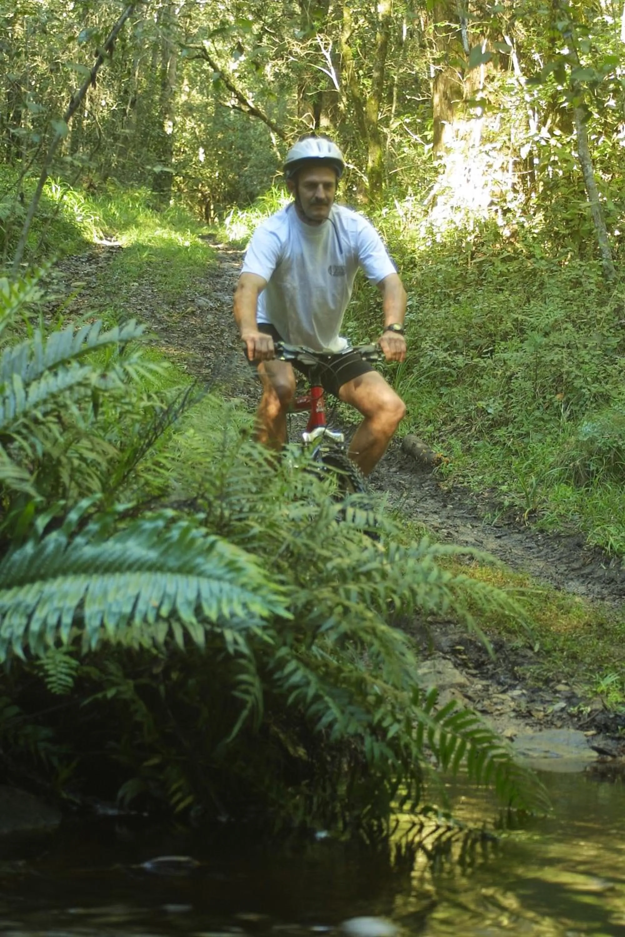 View (from property/room) in The Fernery Lodge & Spa